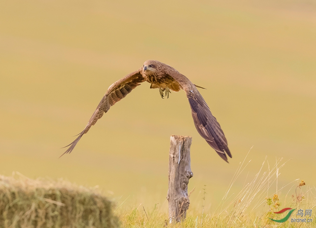 _K8I7207  01_����.jpg