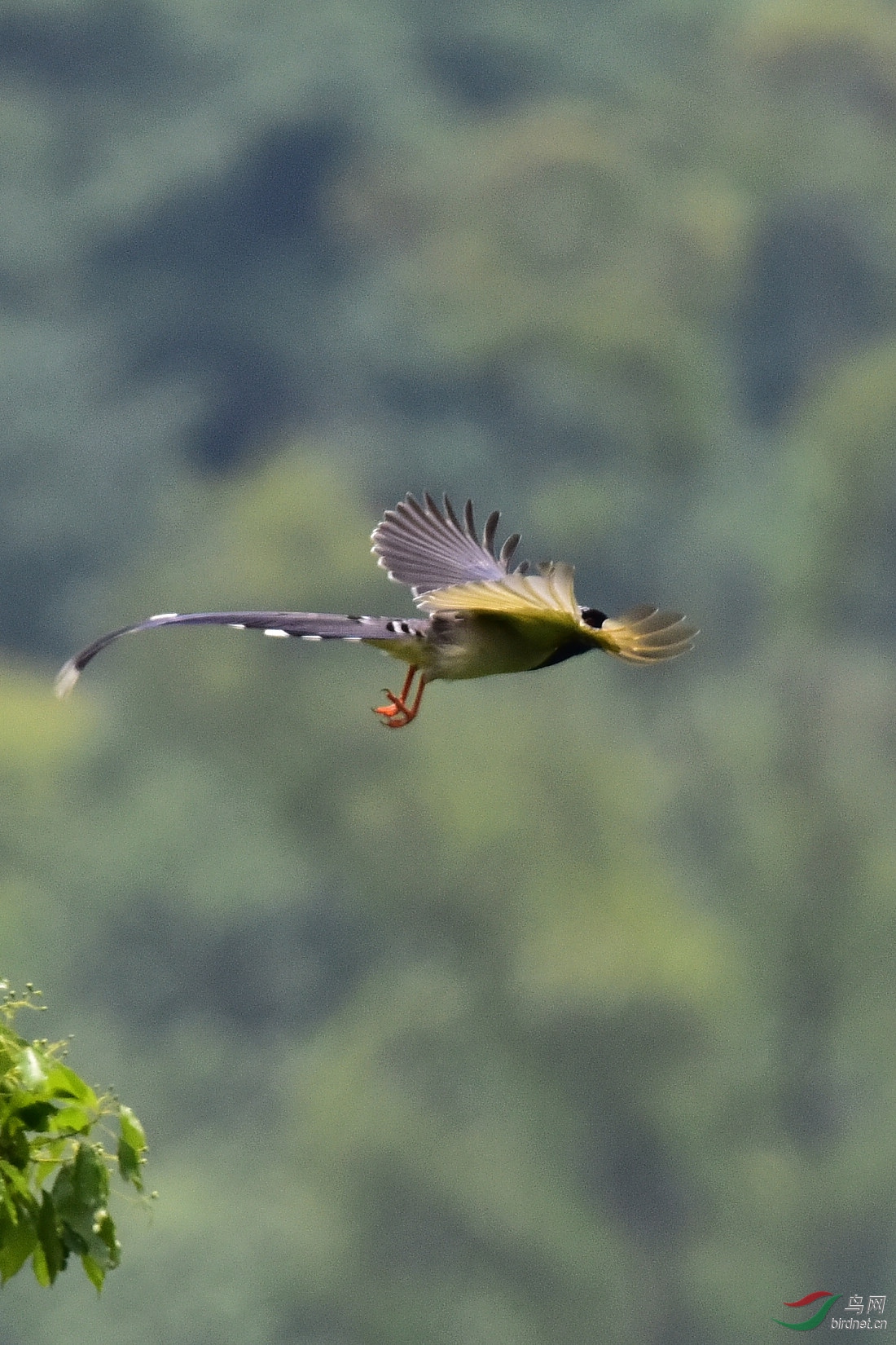 DSC_0308.JPG