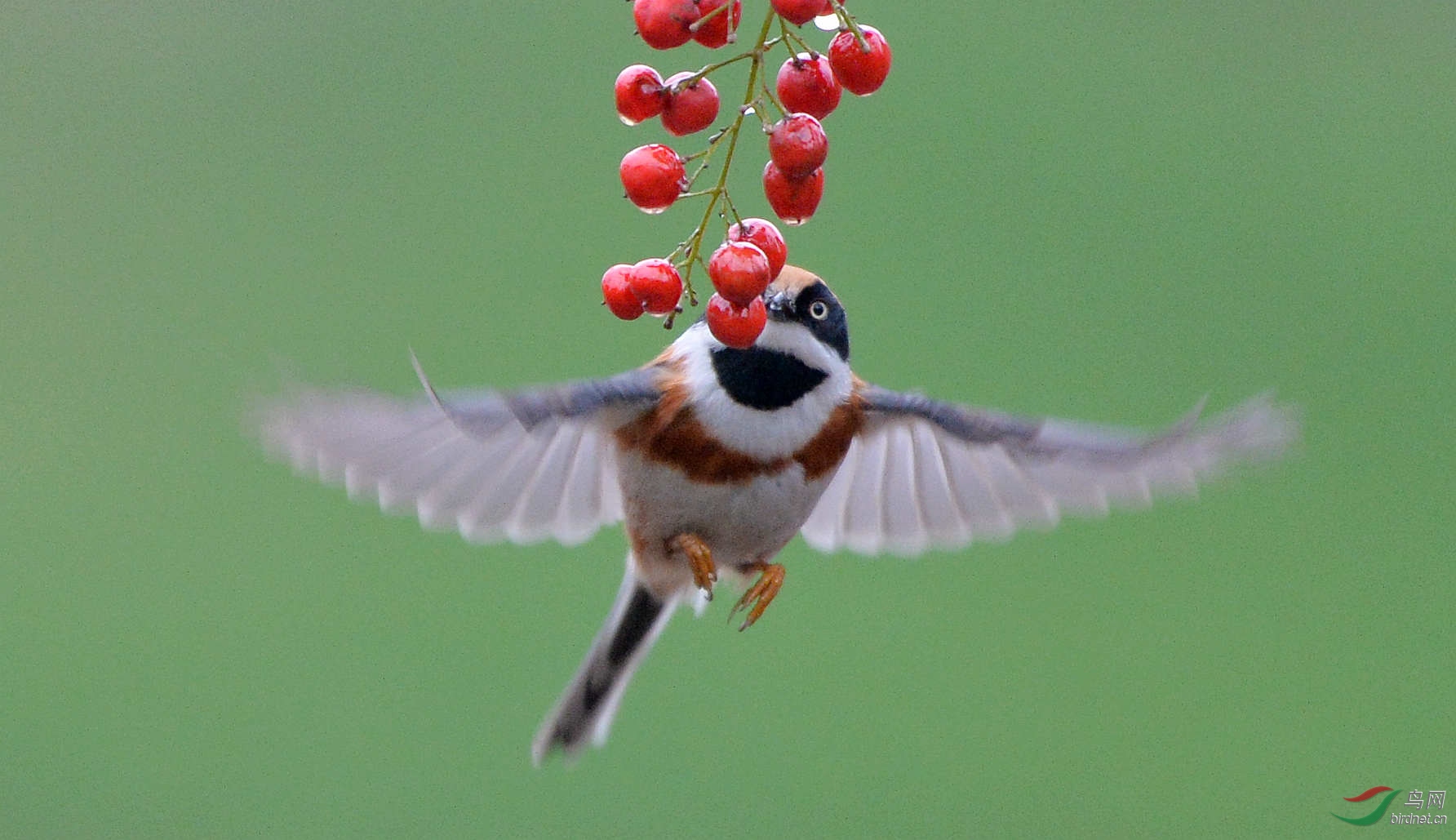 DSC_9722_����.jpg