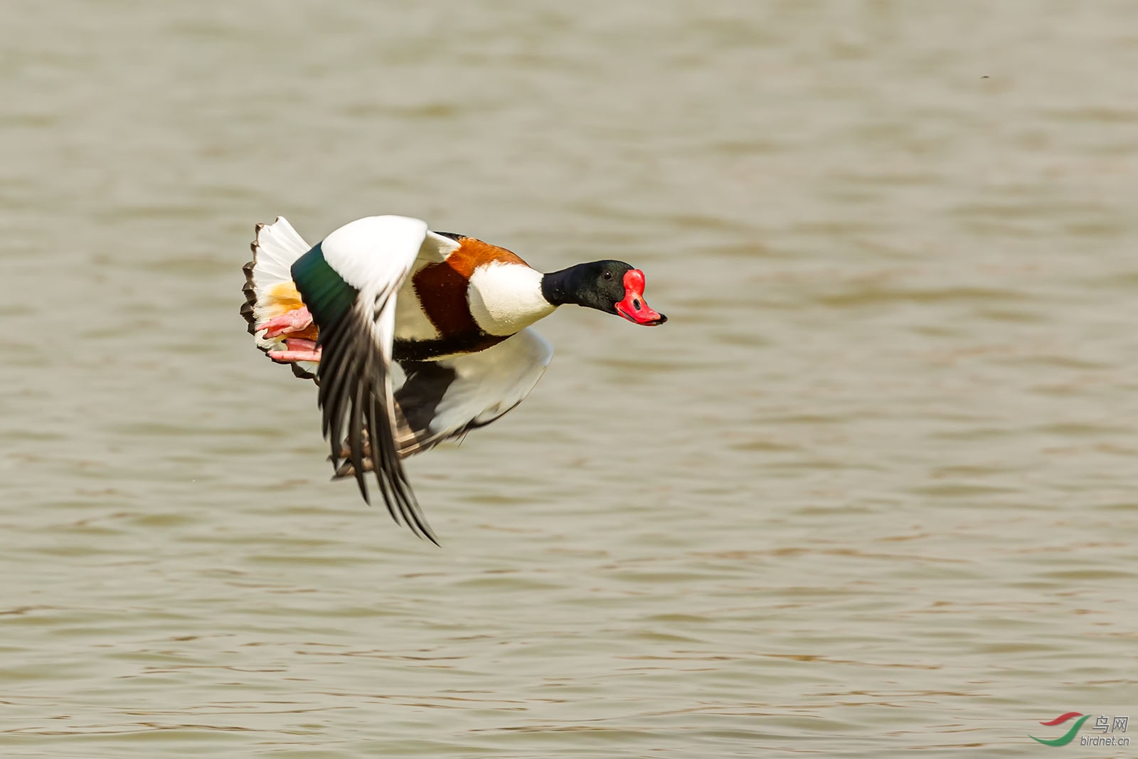 16X20083 ����.jpg