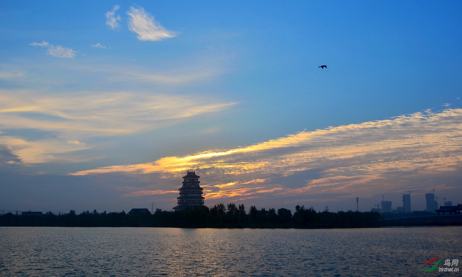 DSC_8809.JPG