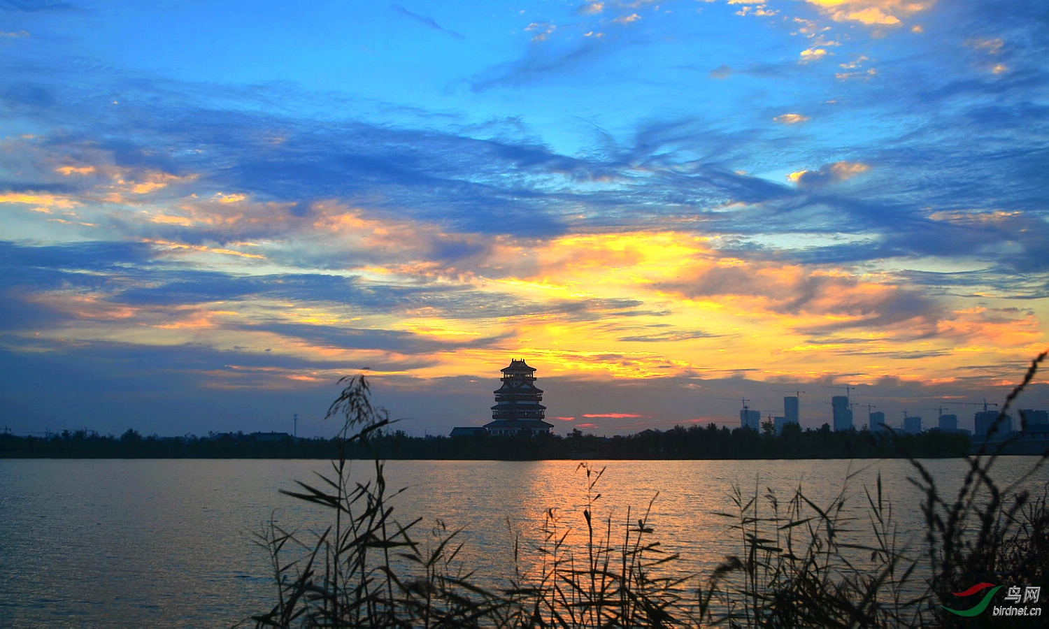 ���� DSC_9228.JPG