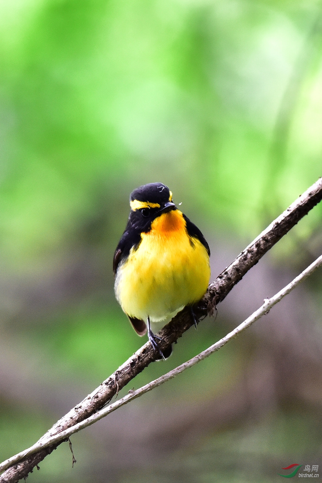 DSC_1082.JPG