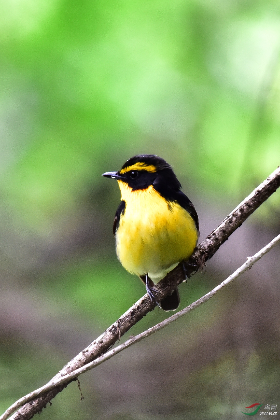 DSC_1084.JPG