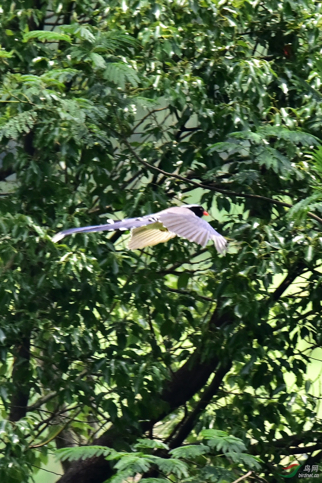 DSC_0313.JPG