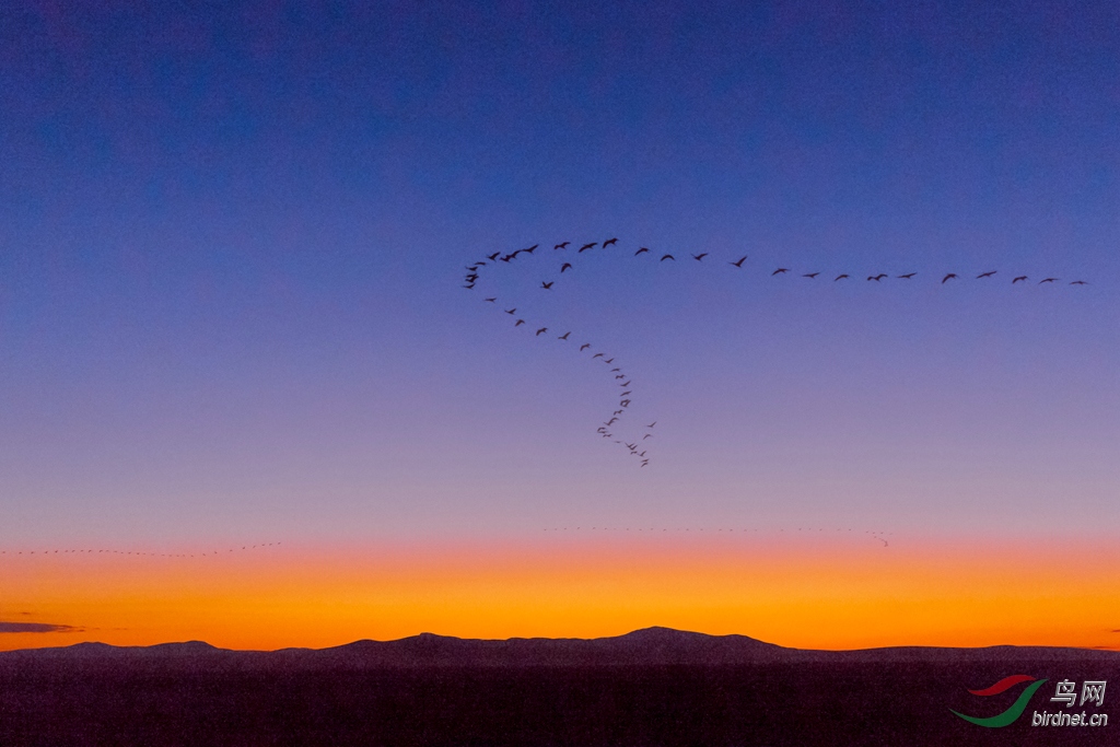 _16A9440  01_����.jpg