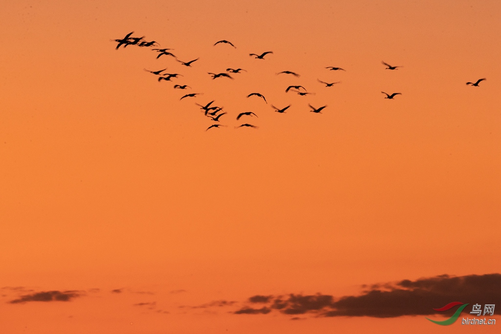 _K8I3164  01_����_����.jpg