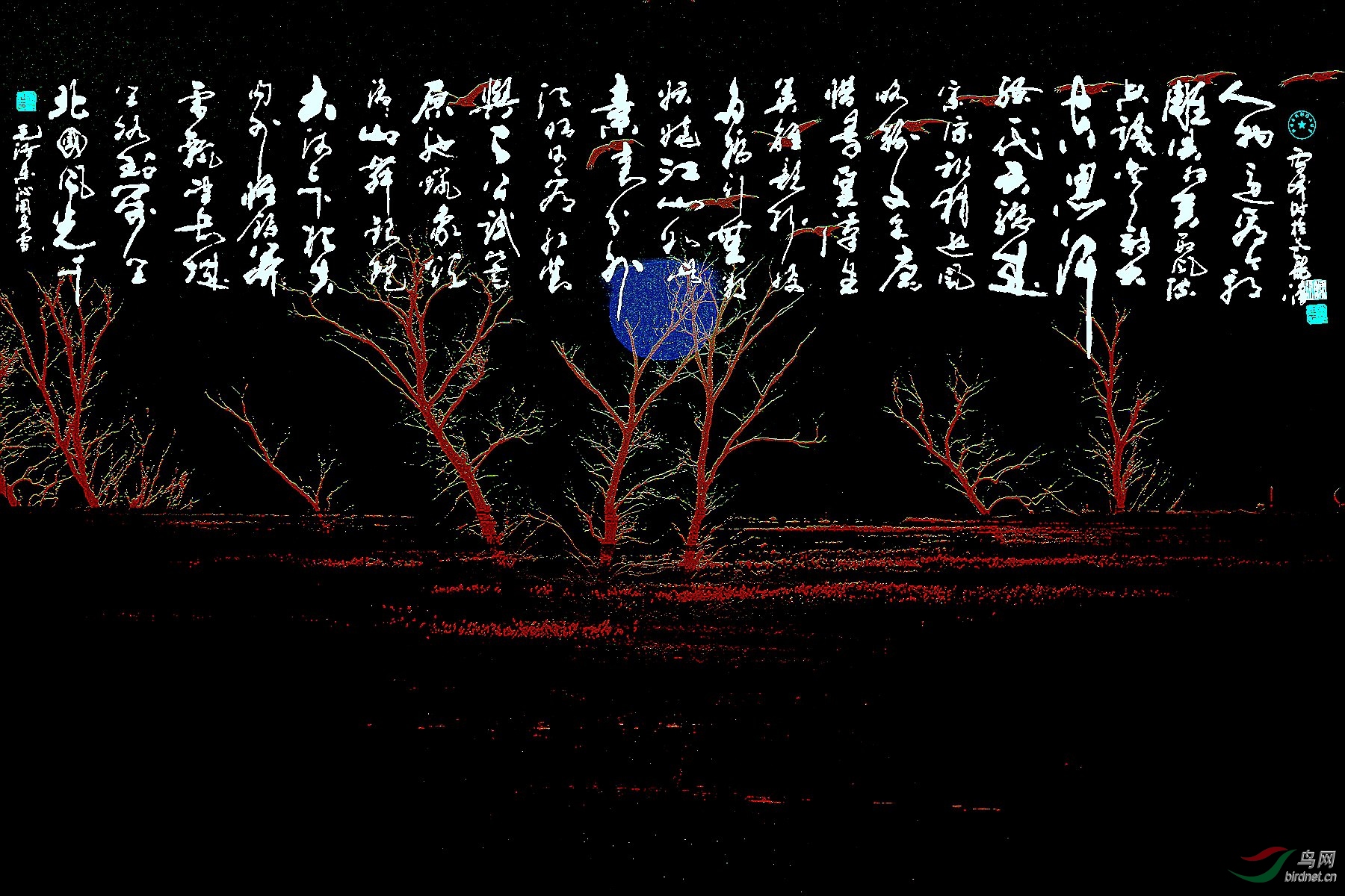 IYK_1981_����_���� ����_����.jpg
