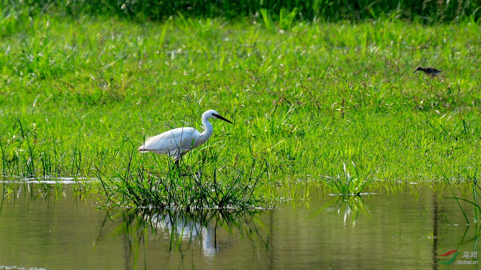 DSC_7145.JPG