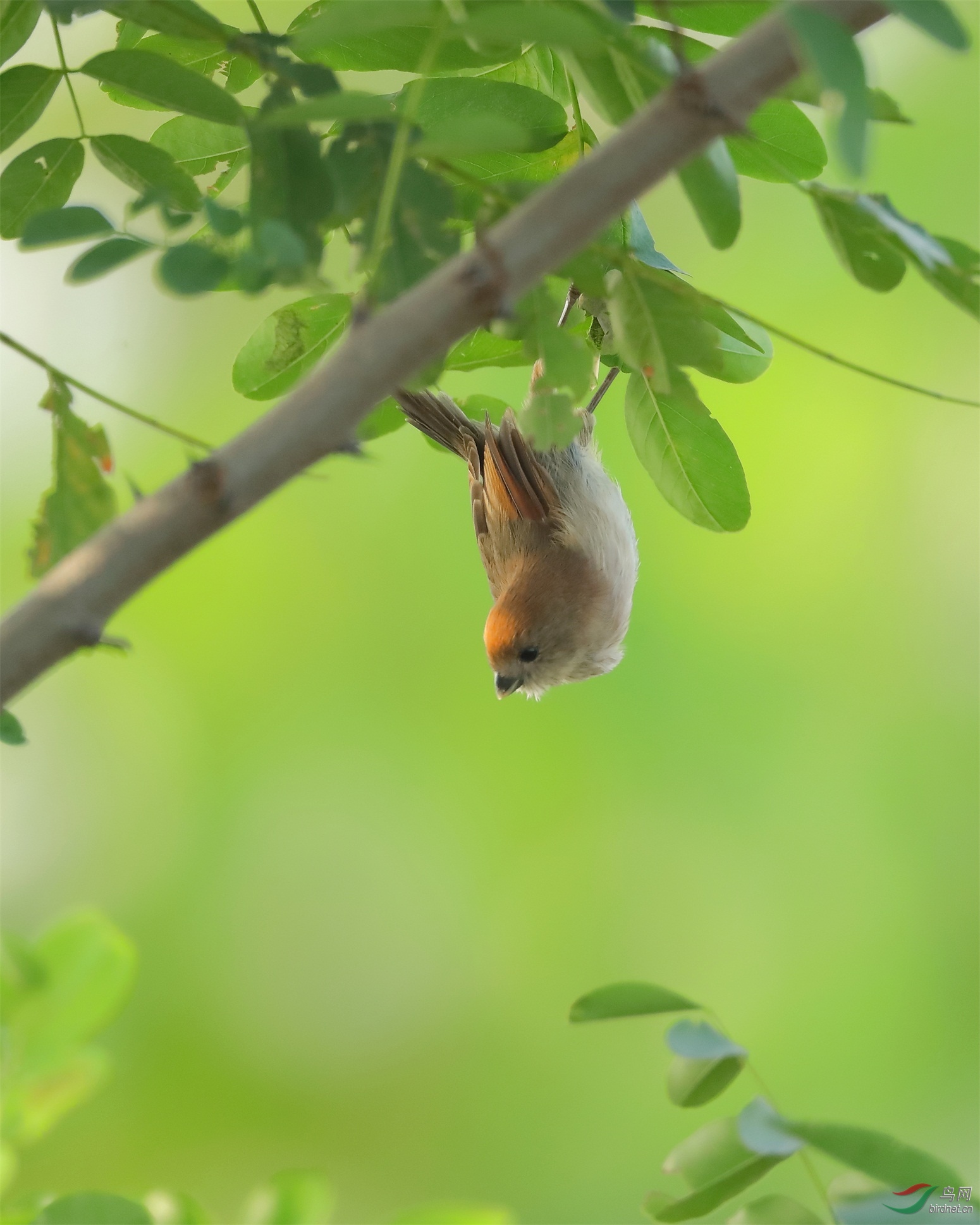 1 - ����.JPG