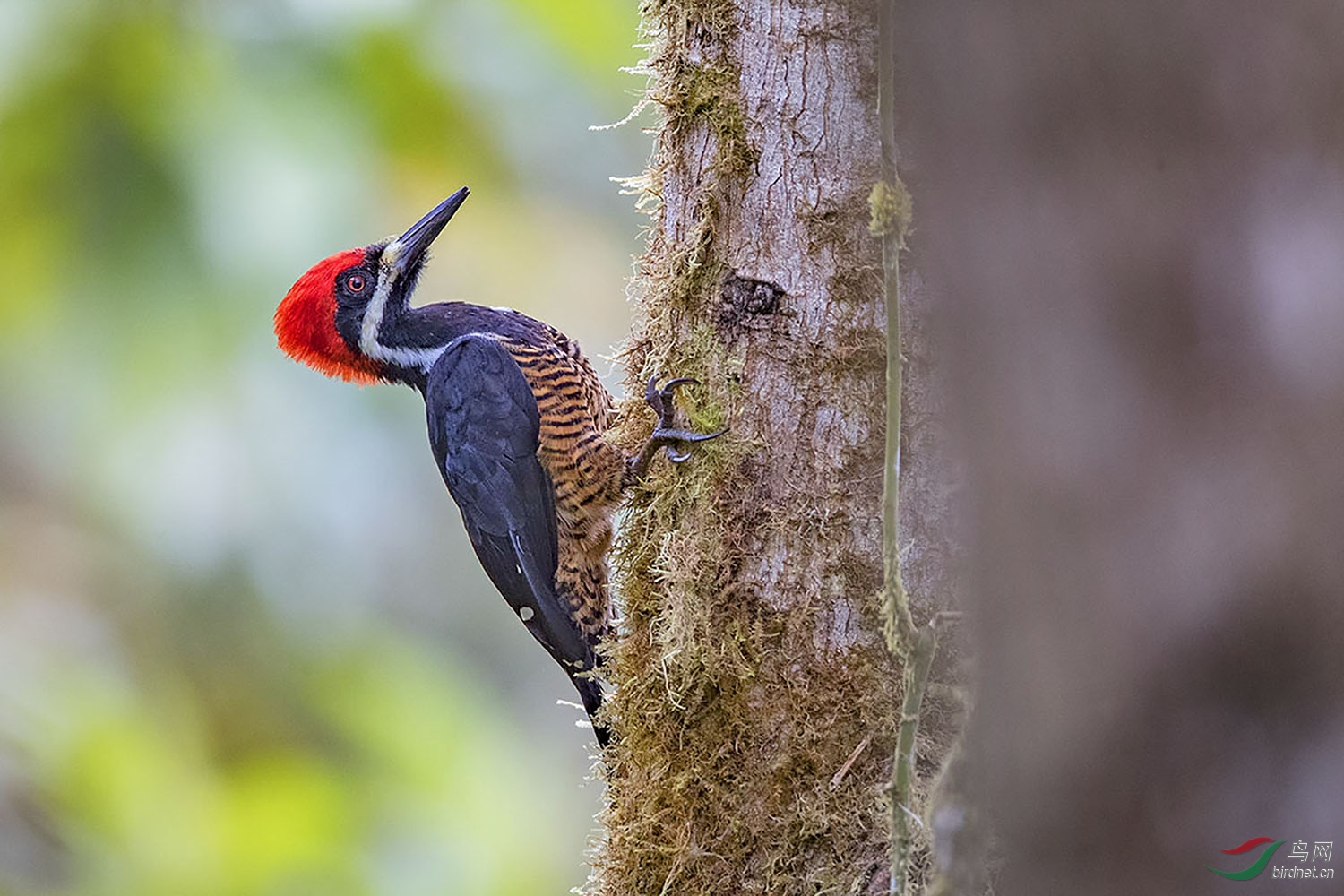 ϸ�����ľ�