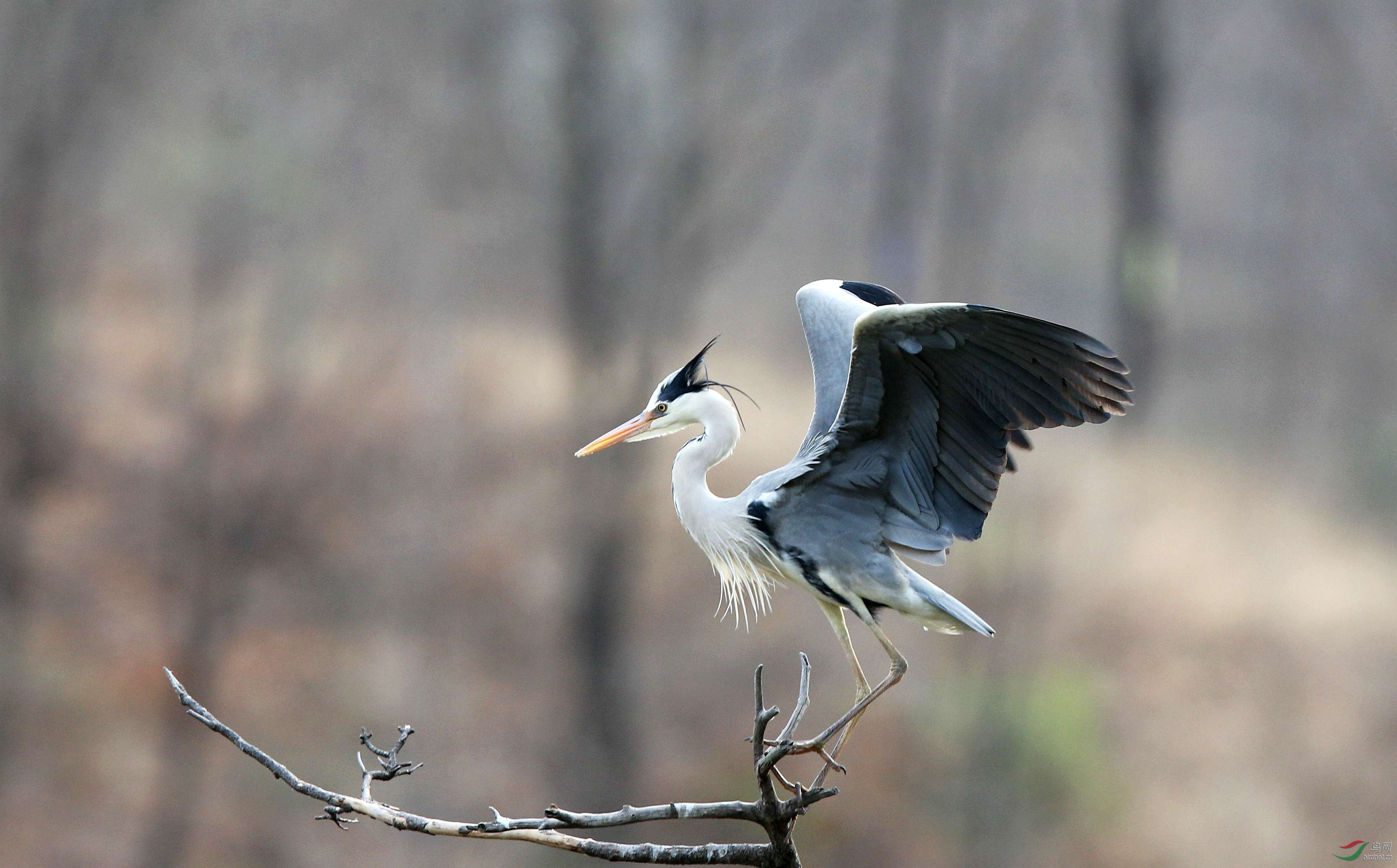 H46R7264_���� (2).jpg