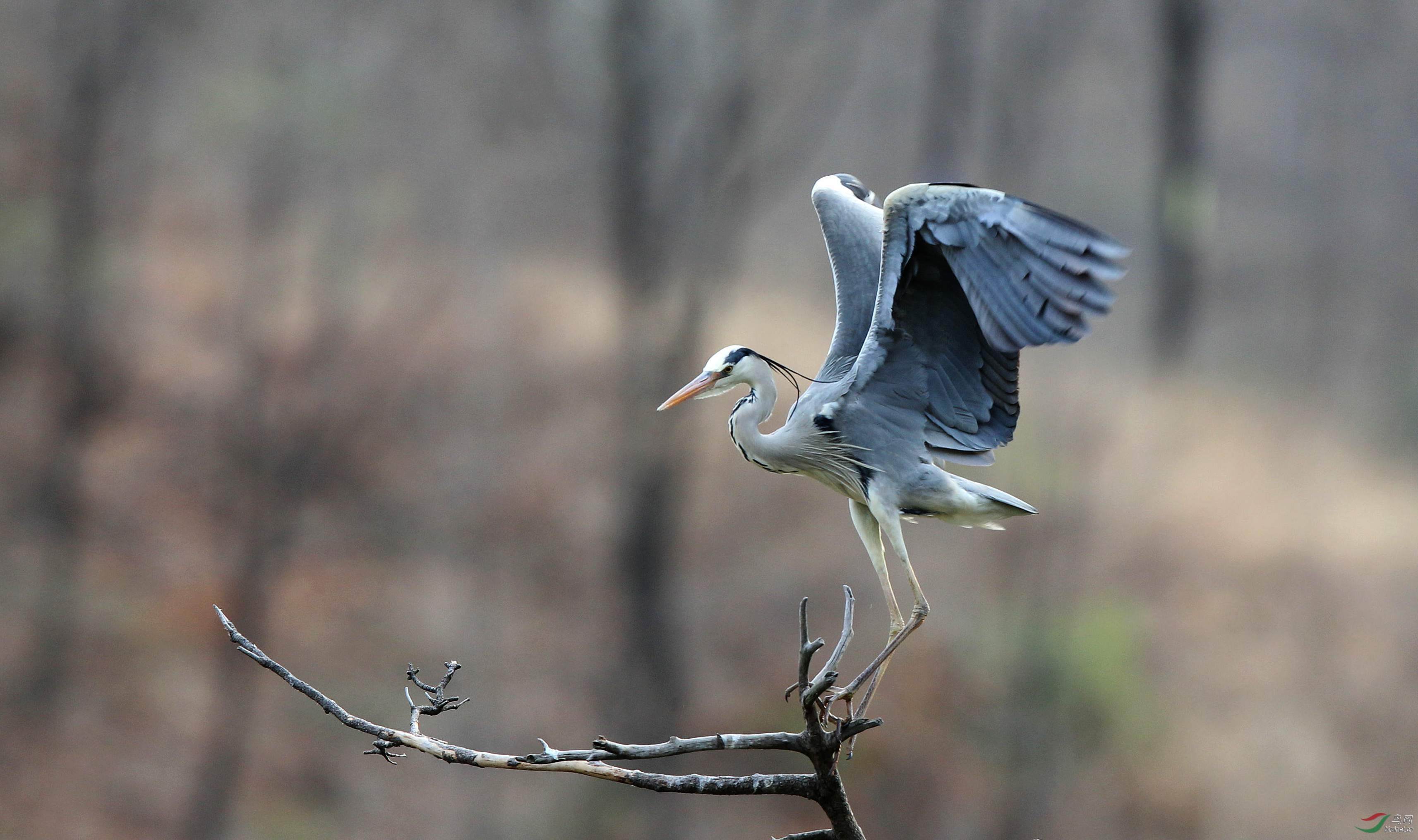 H46R7269_���� (2).jpg