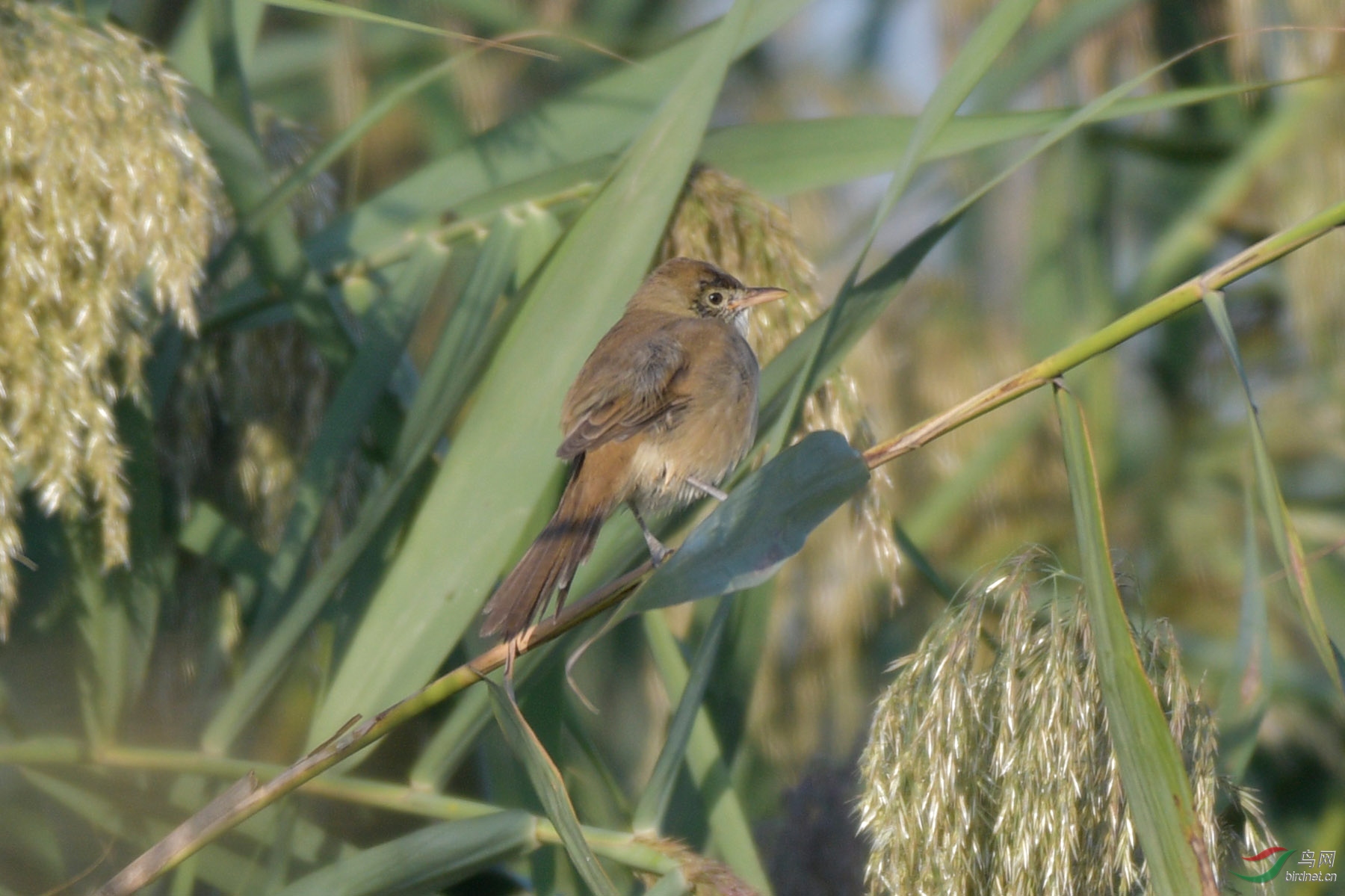 δ֪έݺ_ɳ��ˮ��_20190915_6735.jpg