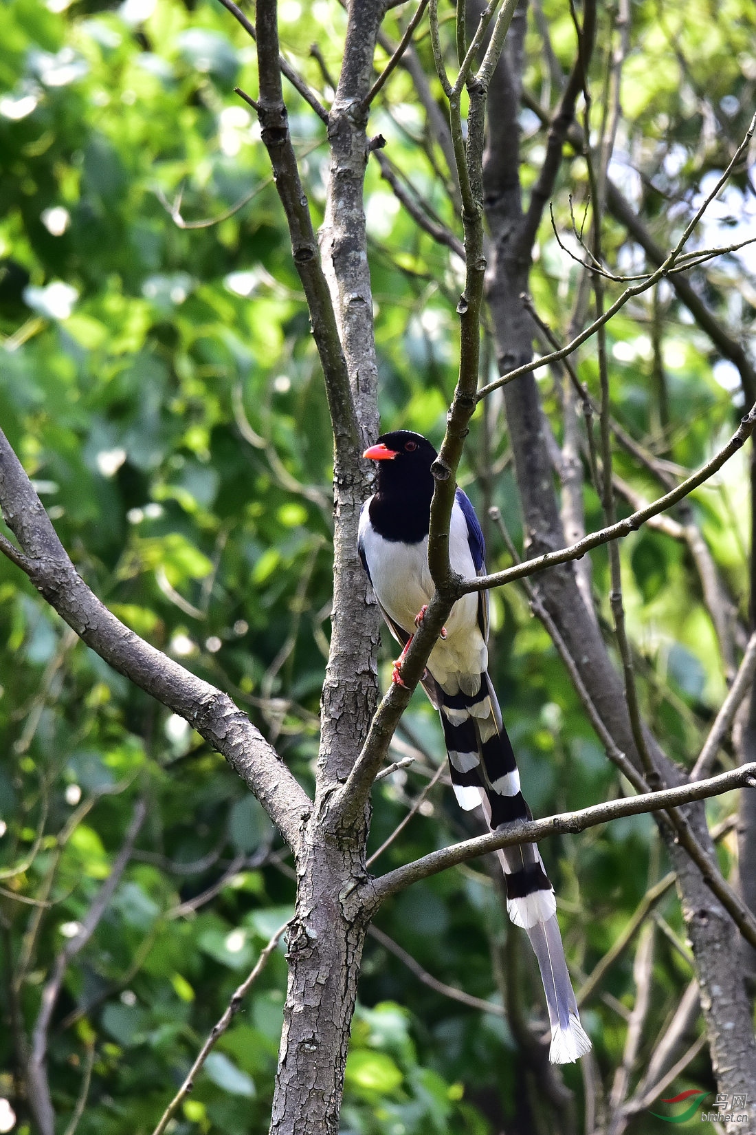 DSC_0320.JPG