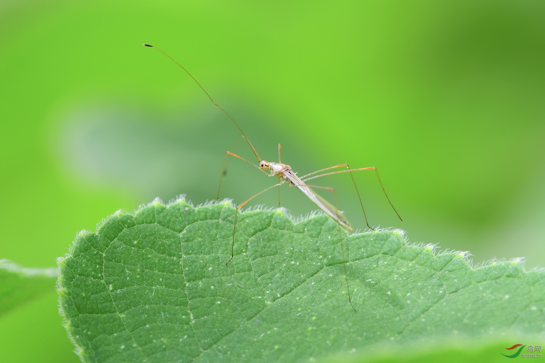 DSC_8714_������ +M30 �ϴ�.jpg