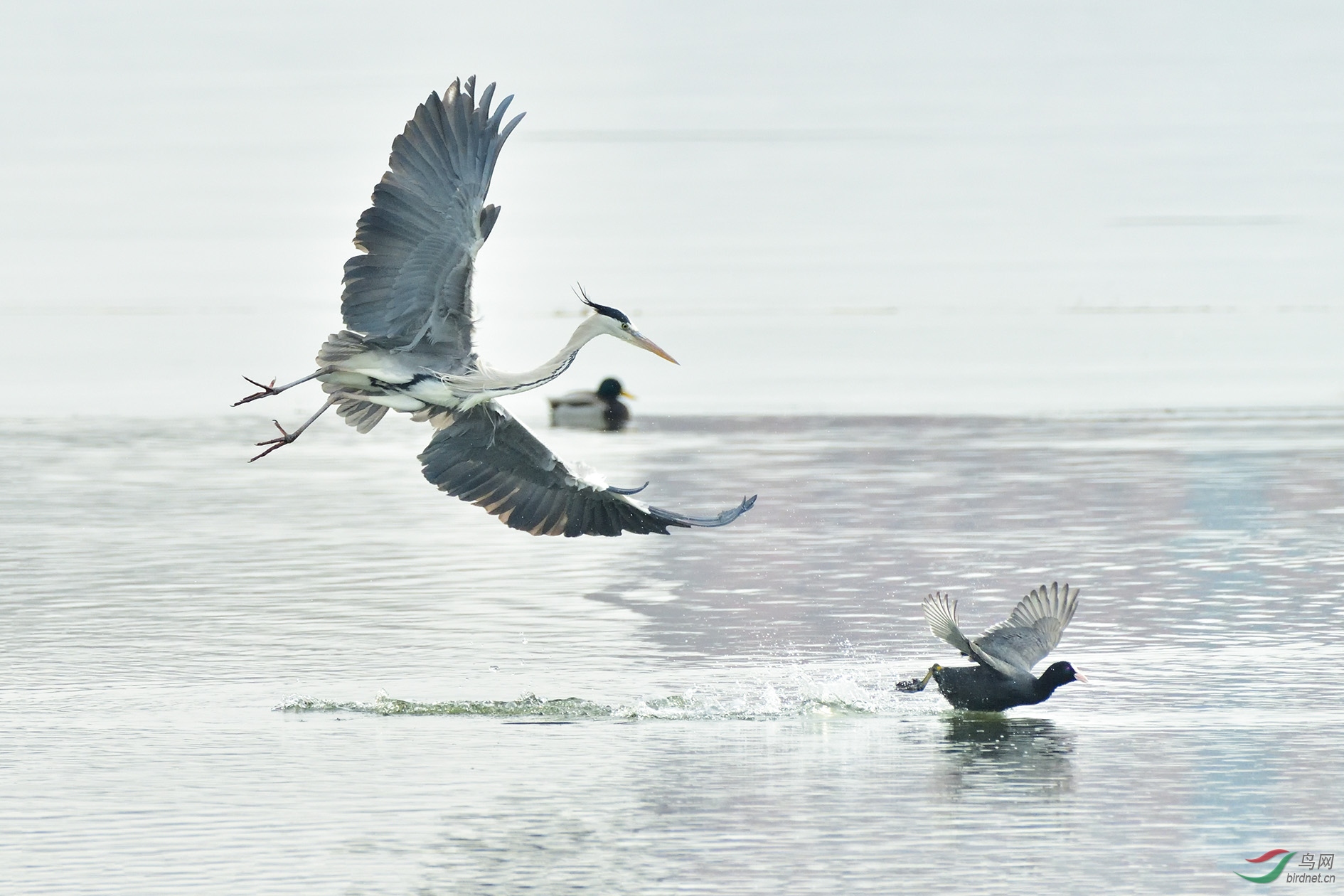 DSC_8706_��ǿ���� -M8 �ϴ�.jpg