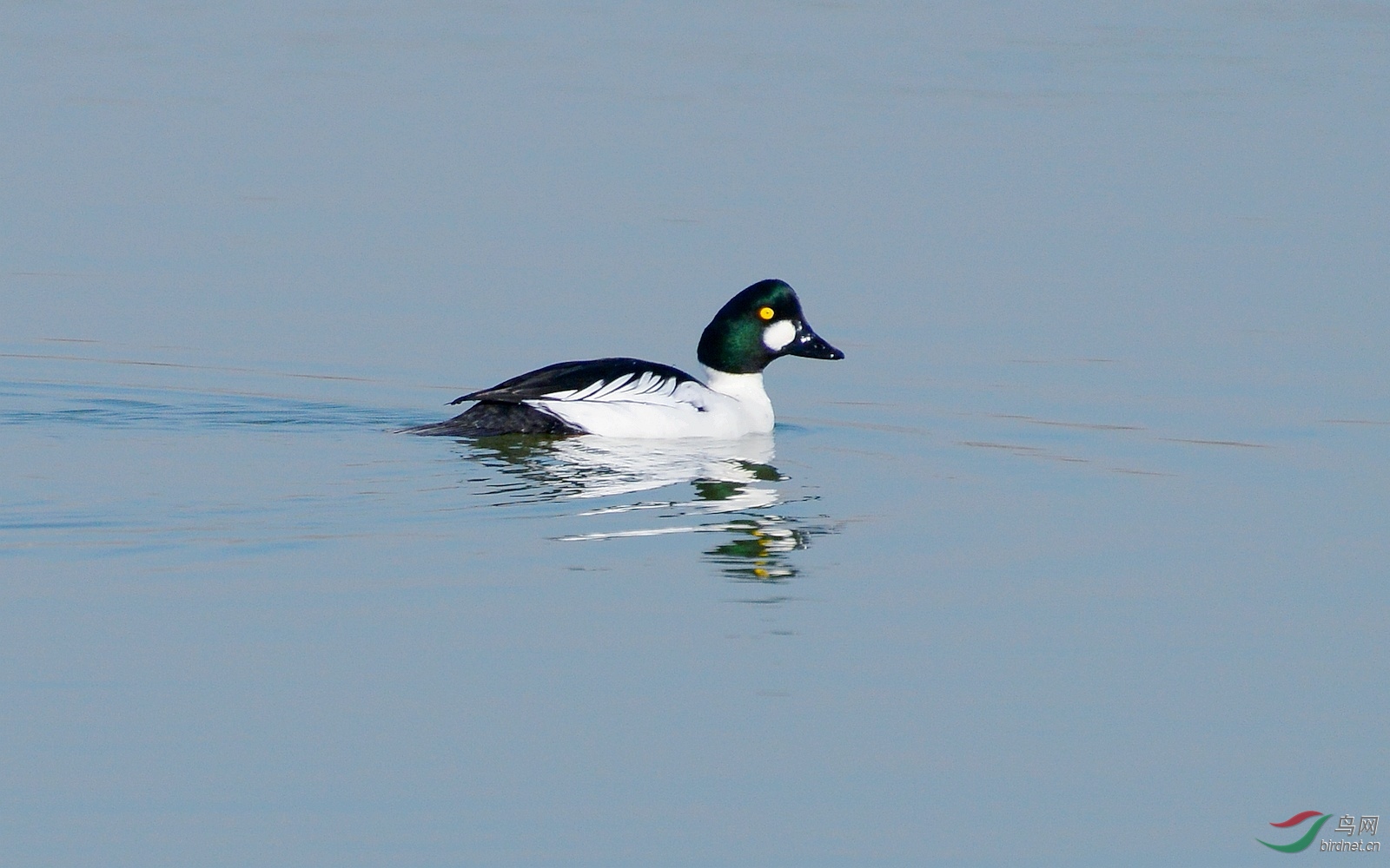 DSC_6520.JPG