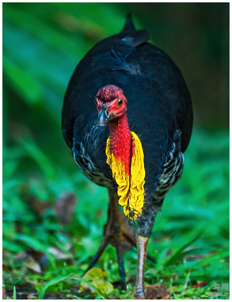 DSC_1853 ���X��.jpg