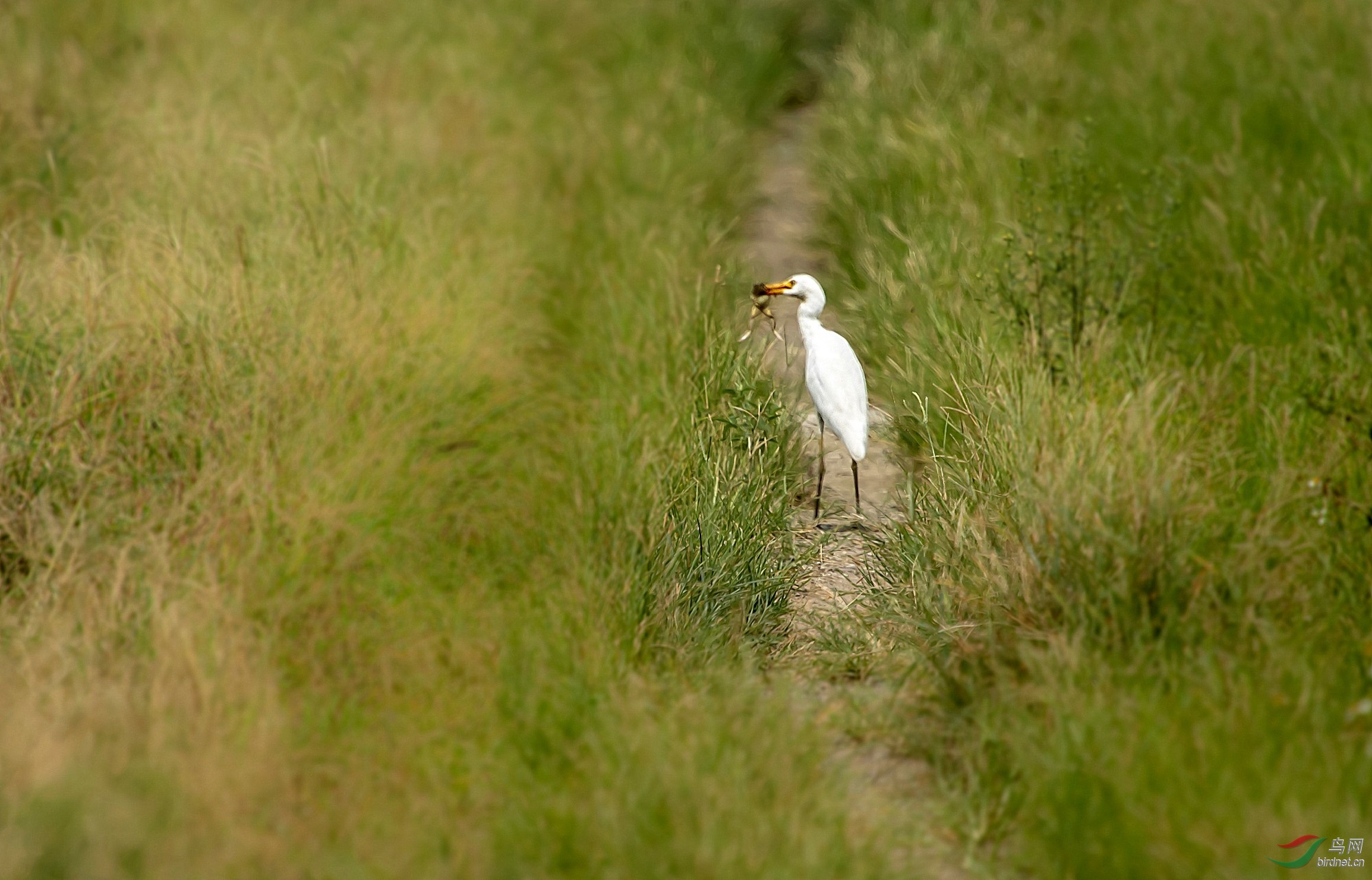 DSC_5093_����.jpg