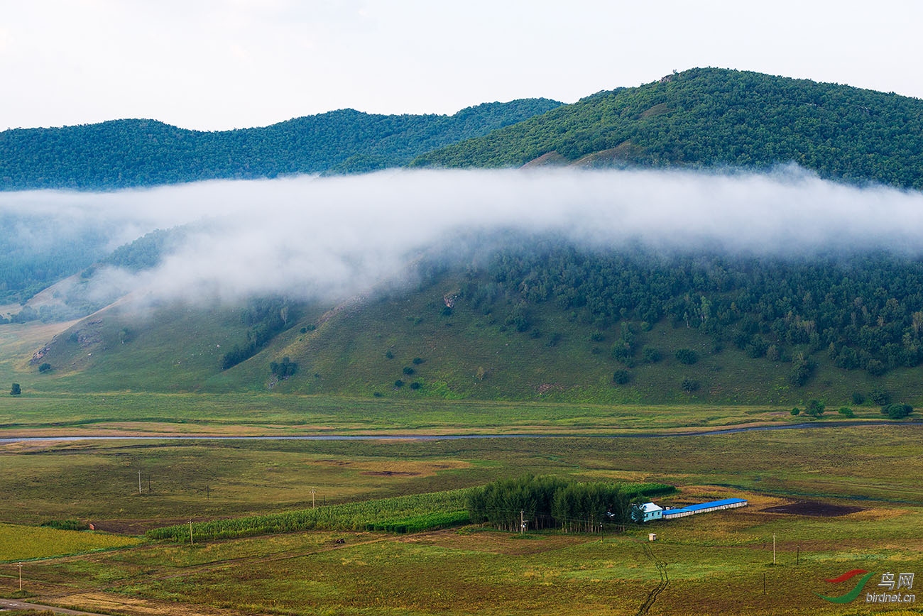_DSC2265.jpg