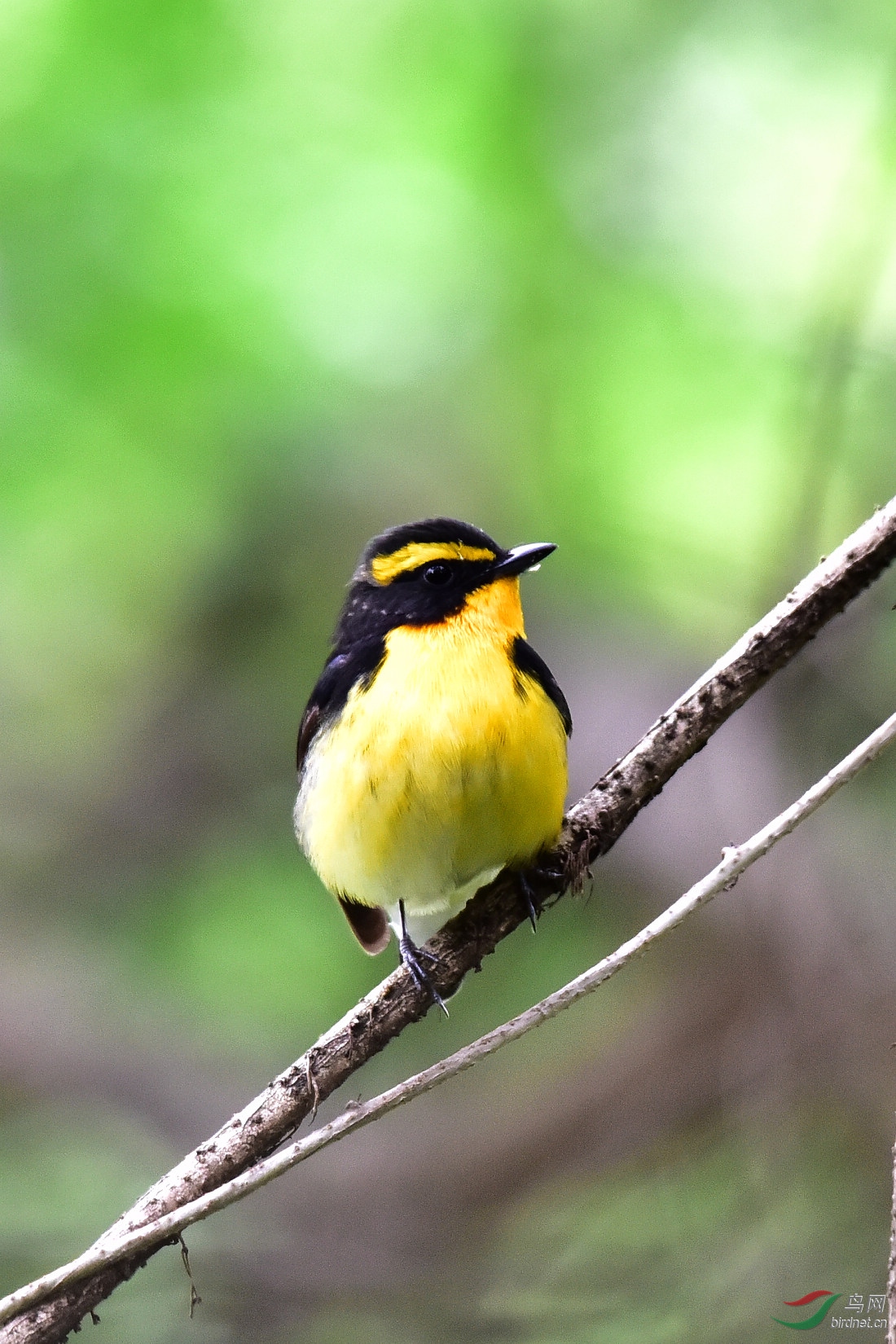 DSC_1091.JPG