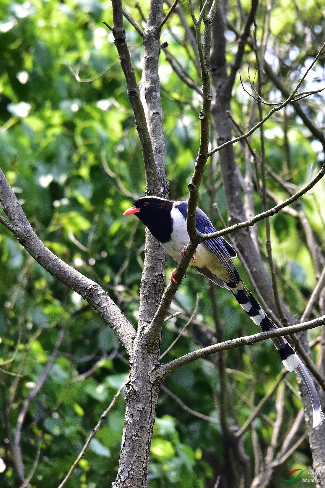 DSC_0325.JPG