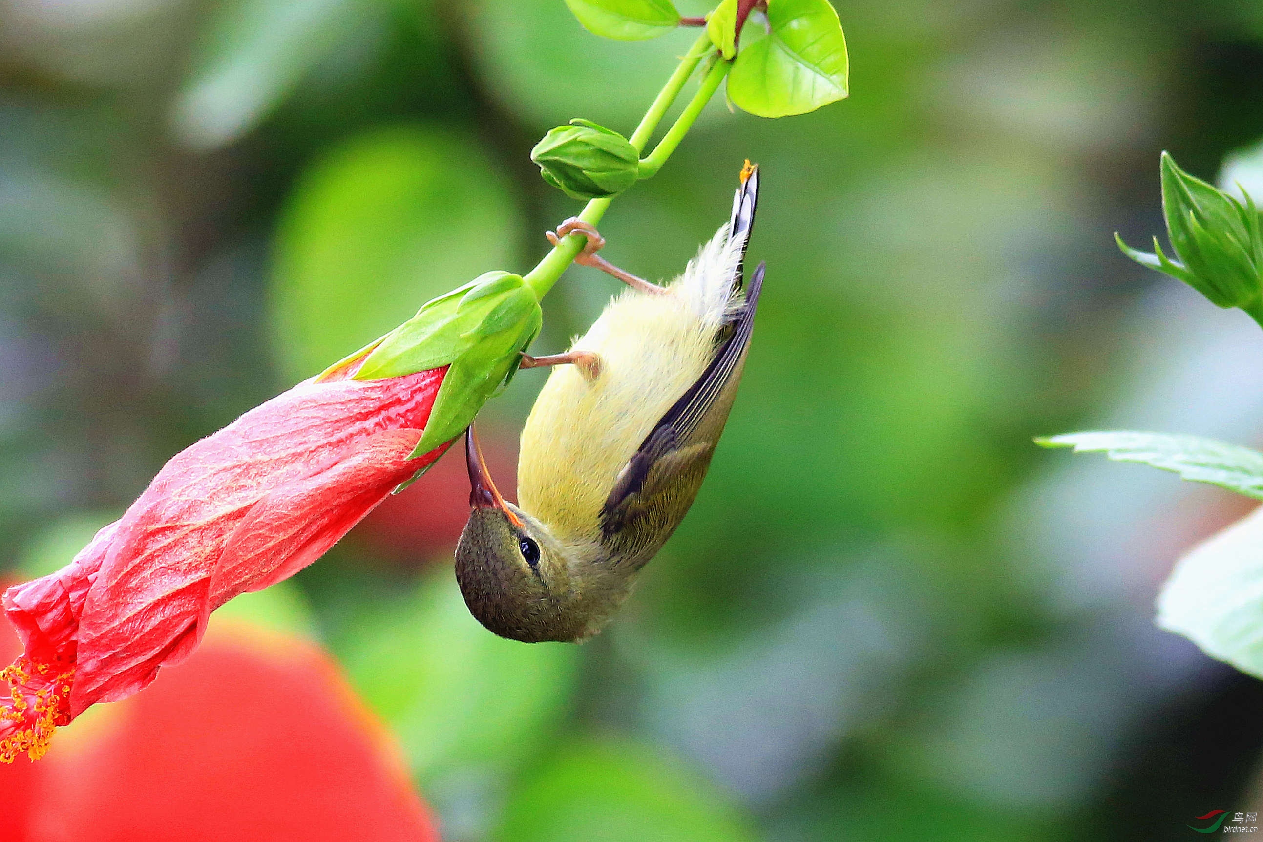J51A4837 .jpg