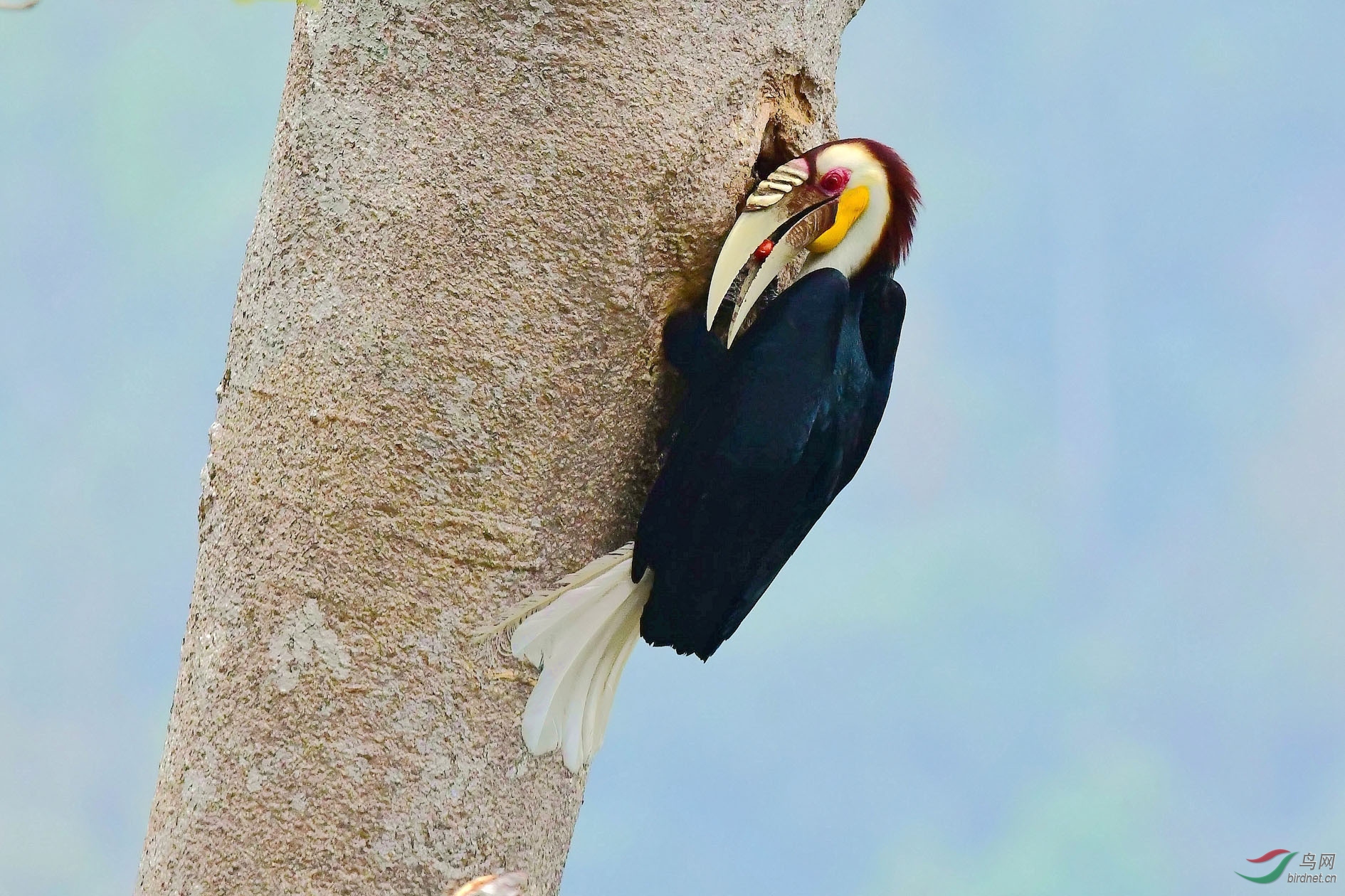 DSC_6554_����.jpg