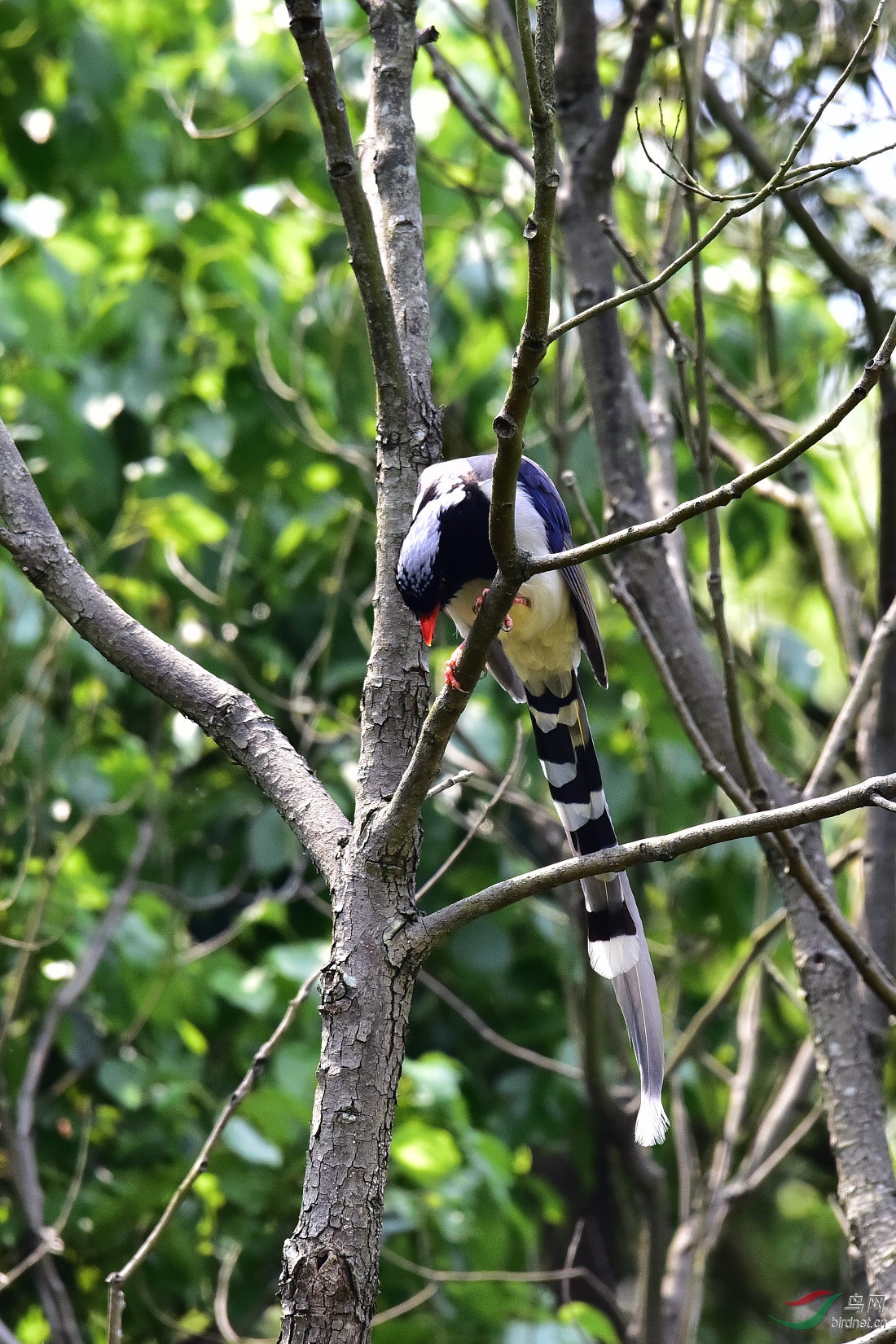 DSC_0327.JPG