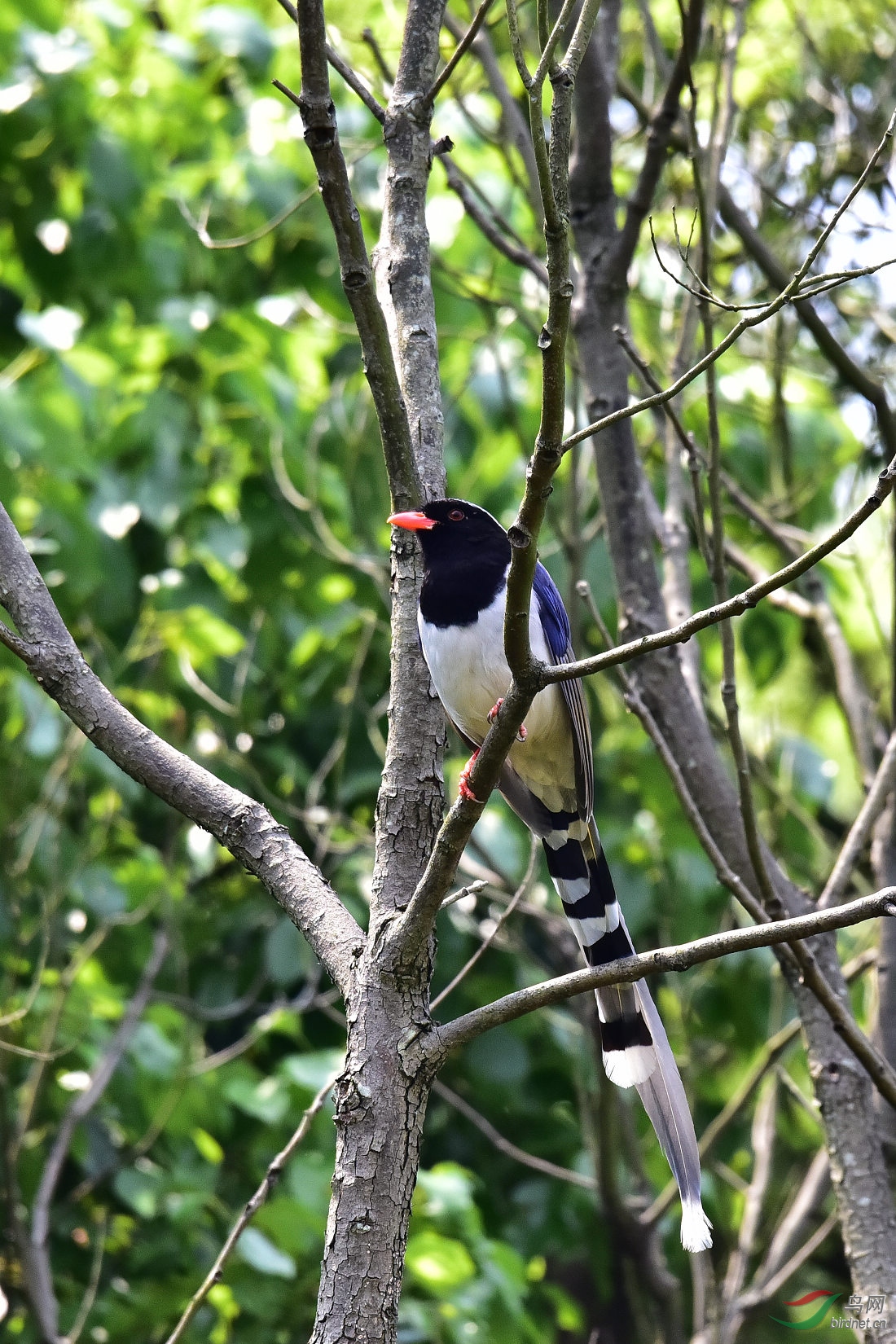 DSC_0328.JPG