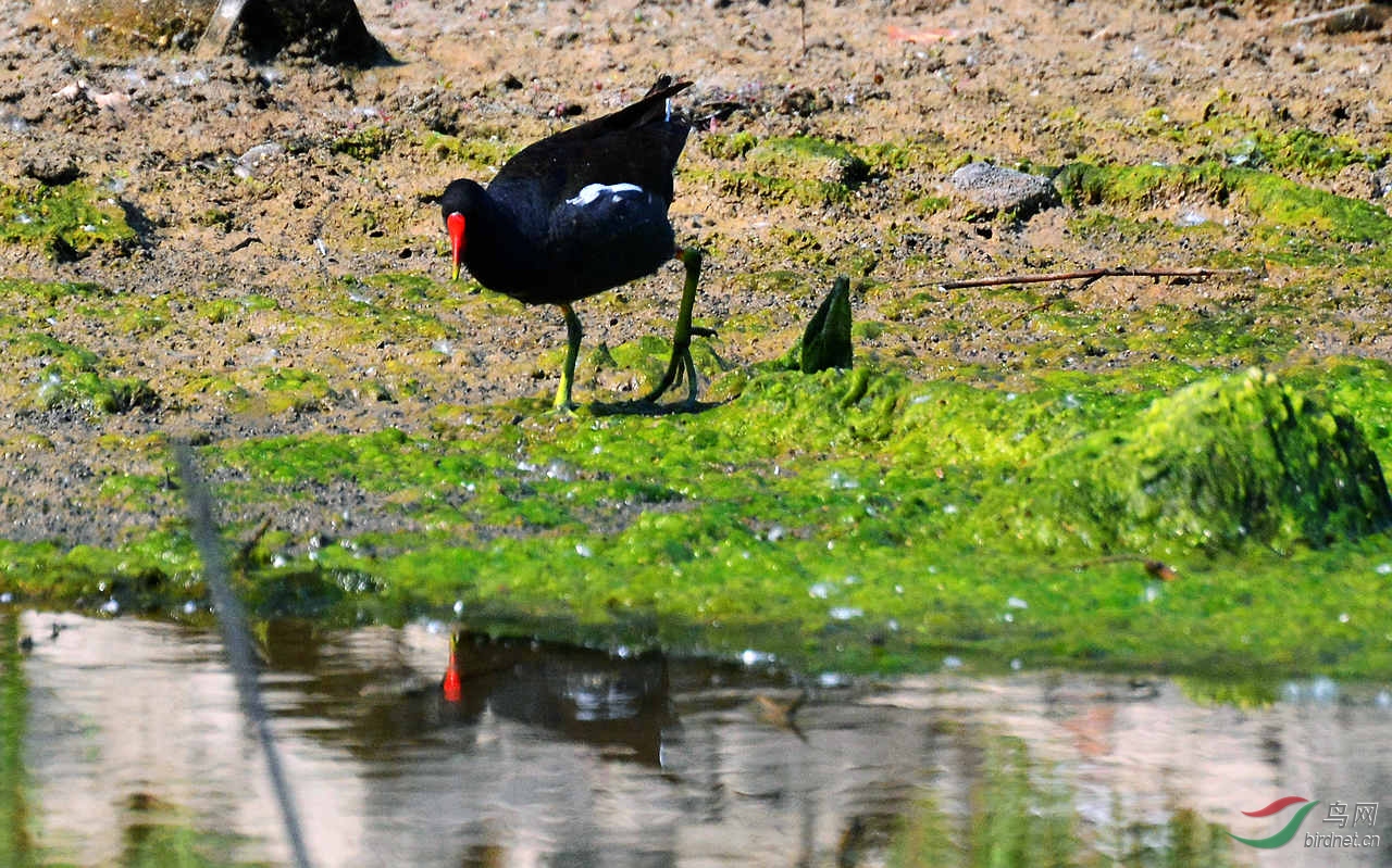DSC_6977.JPG