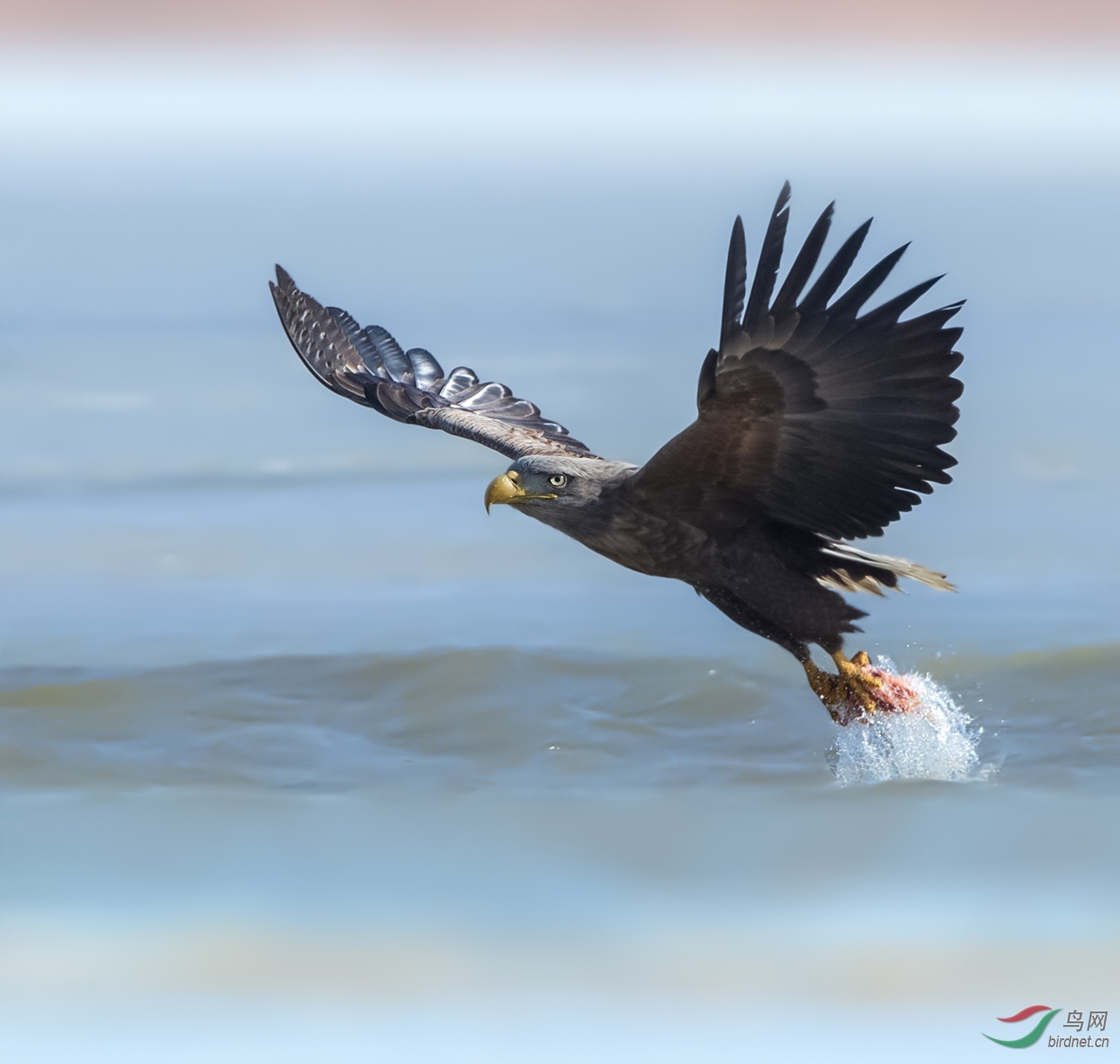 J4W_5520_  �ջ�     ���ɹŰ�.jpg