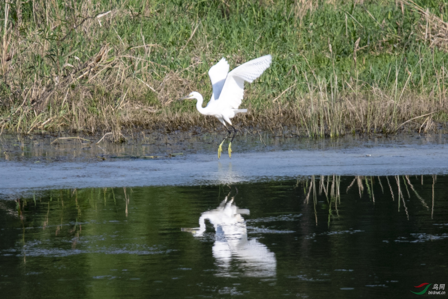 D50_1039.jpg