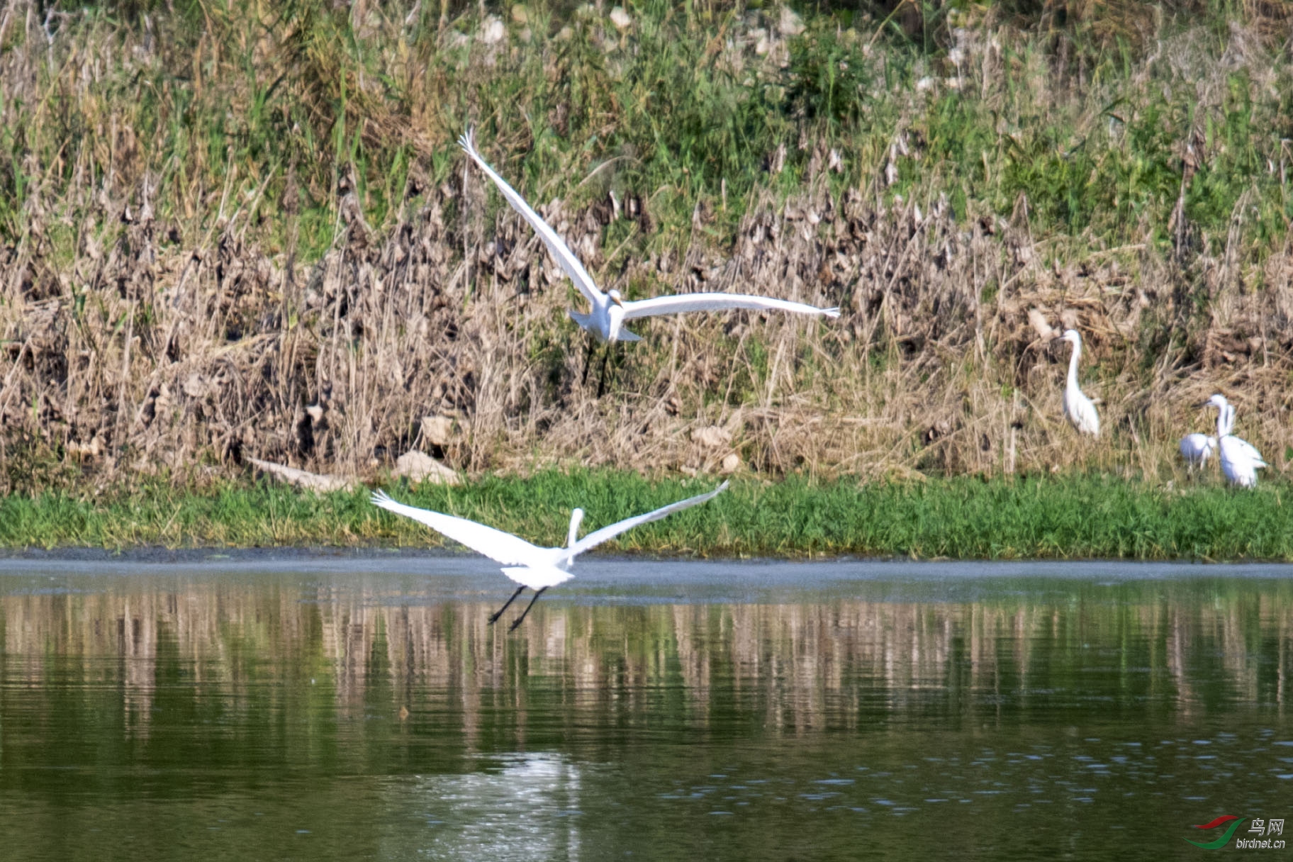 D50_1053.jpg
