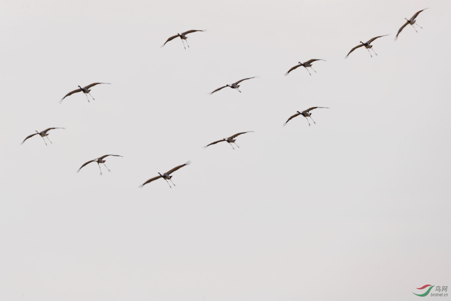 _K8I1263  01_����.jpg