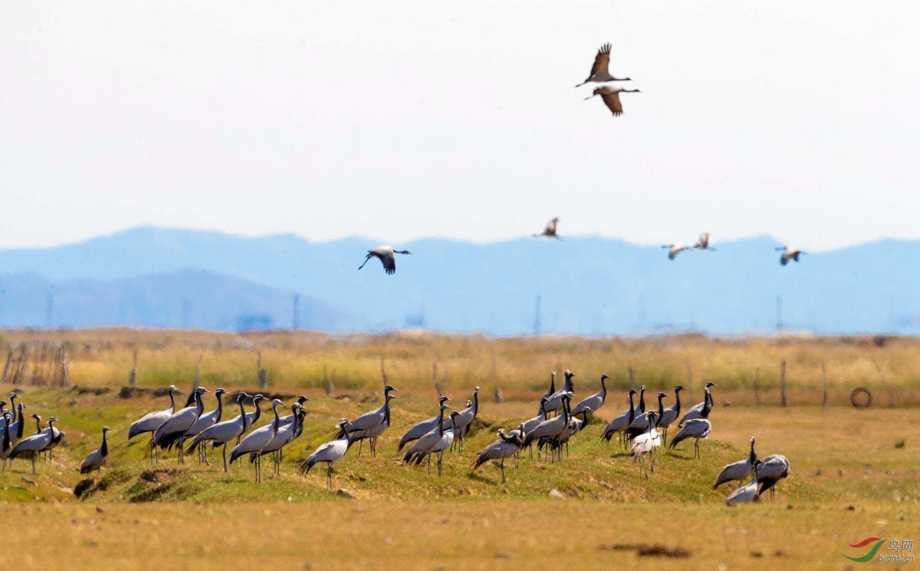 _K8I1461  01_����.jpg