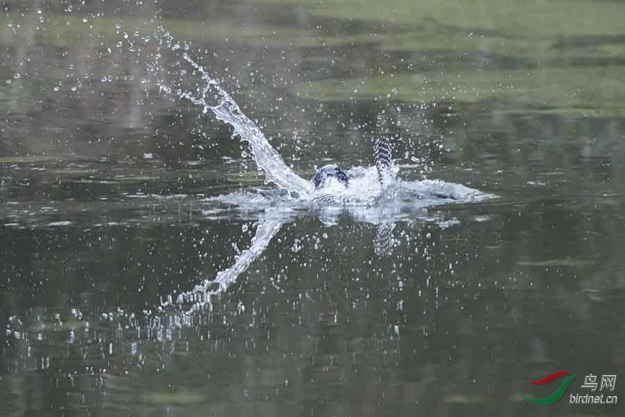 20180224-DSC00970-16 - ����.JPG