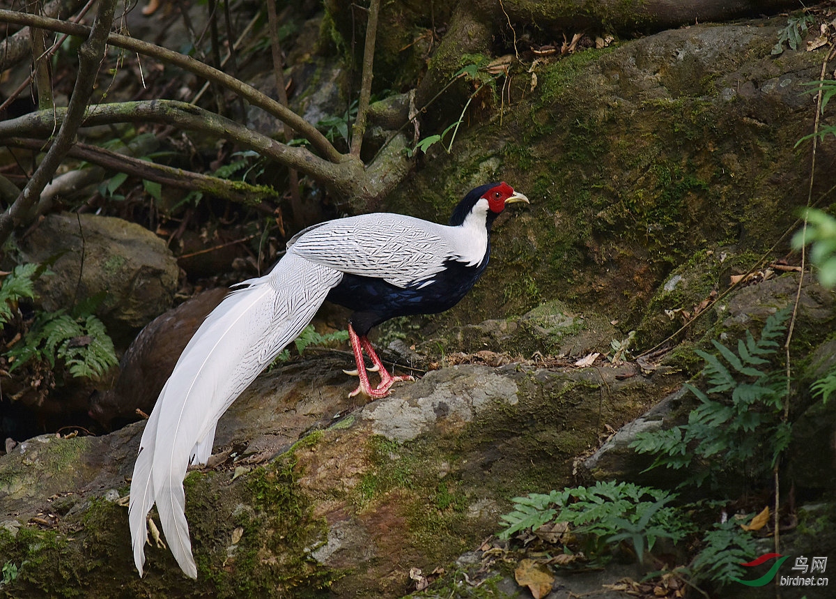 D8I_6362.jpg