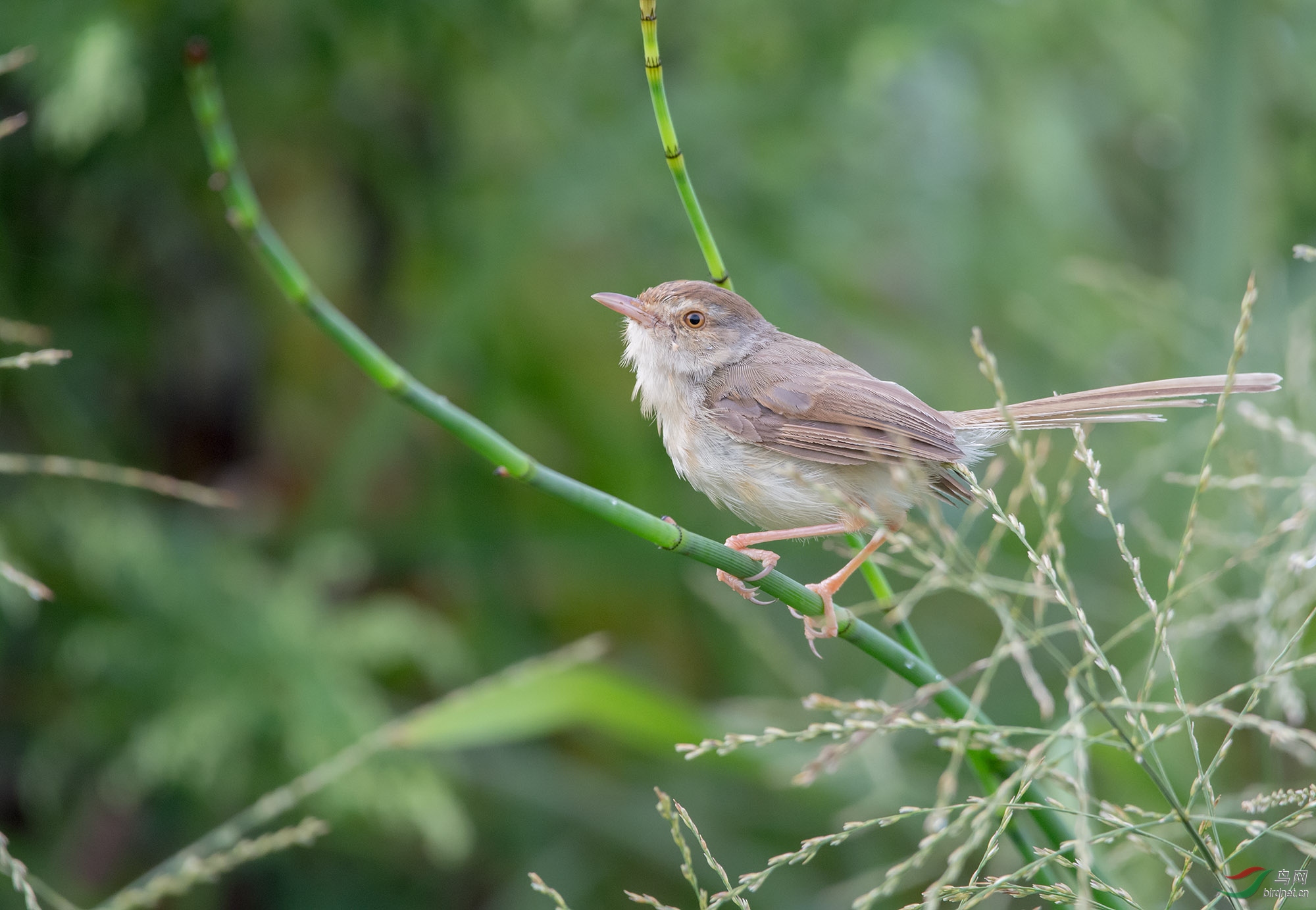 DSC_8987.jpg