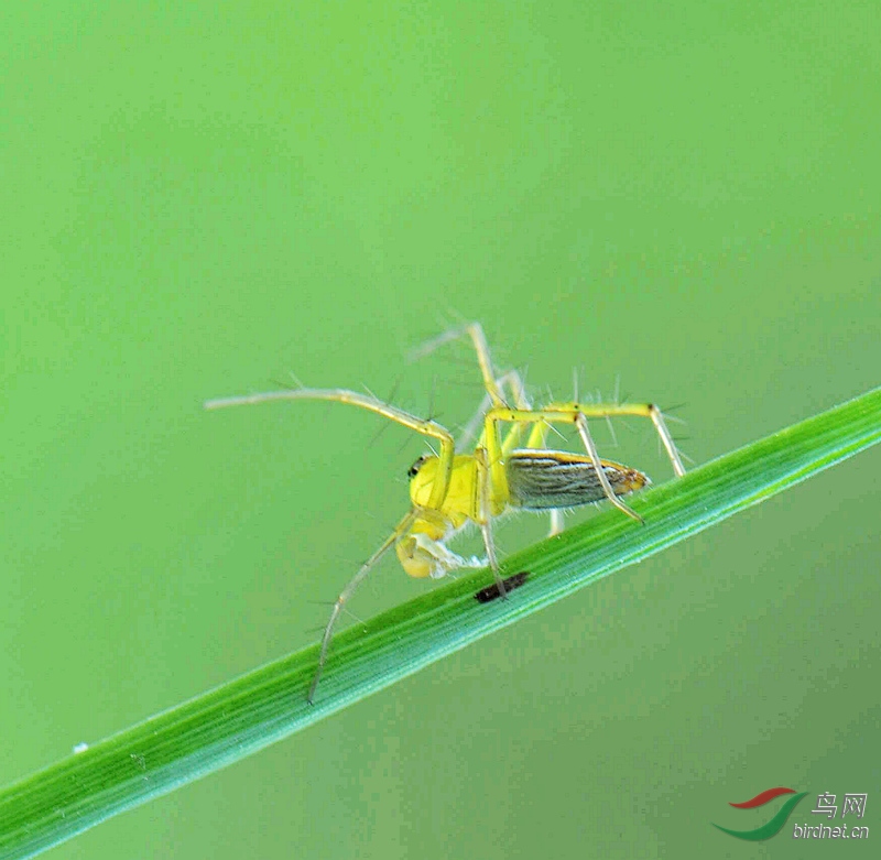 ΢��ͼƬ_20190915210209.jpg