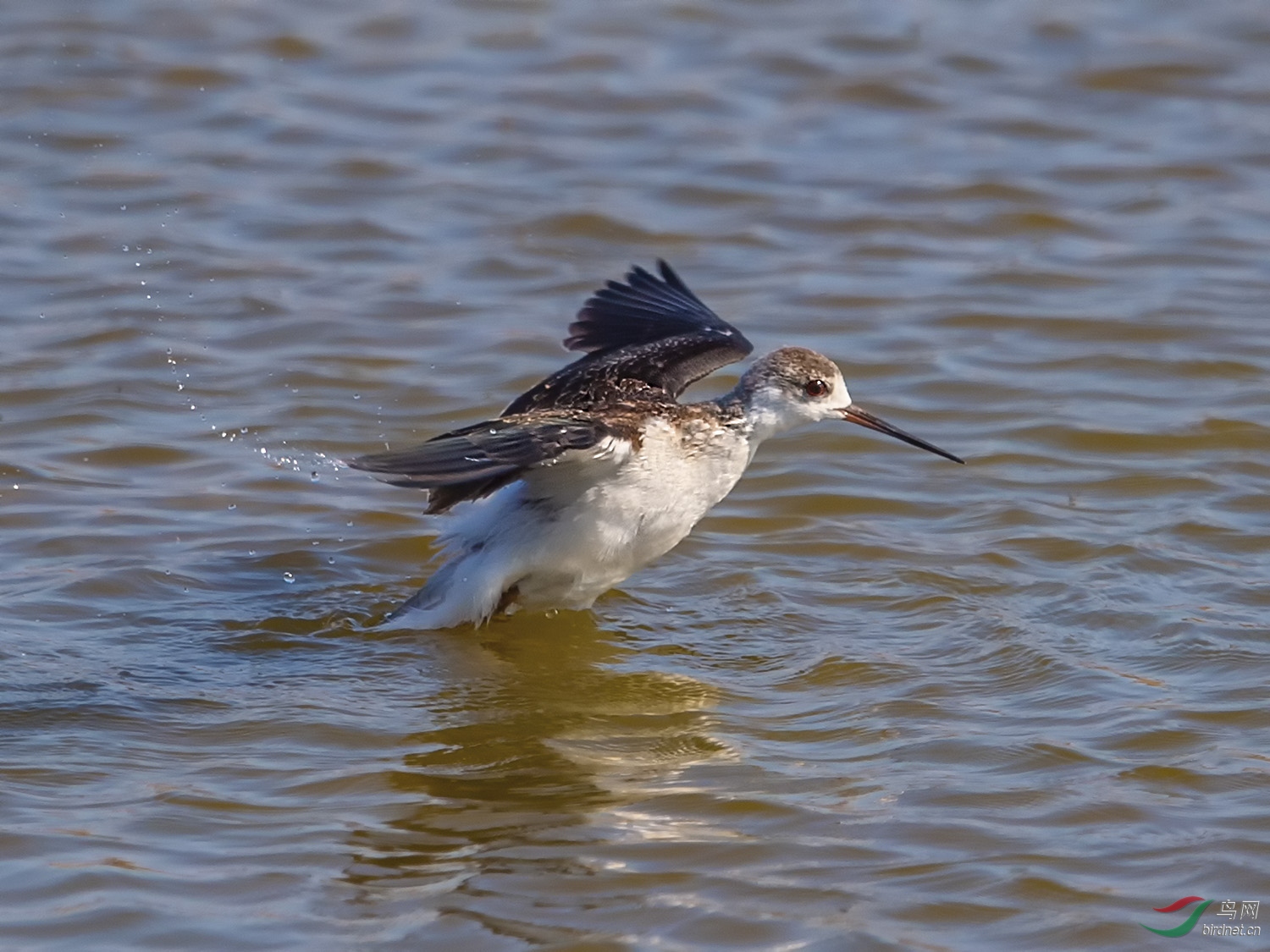 DSC_2140.jpg
