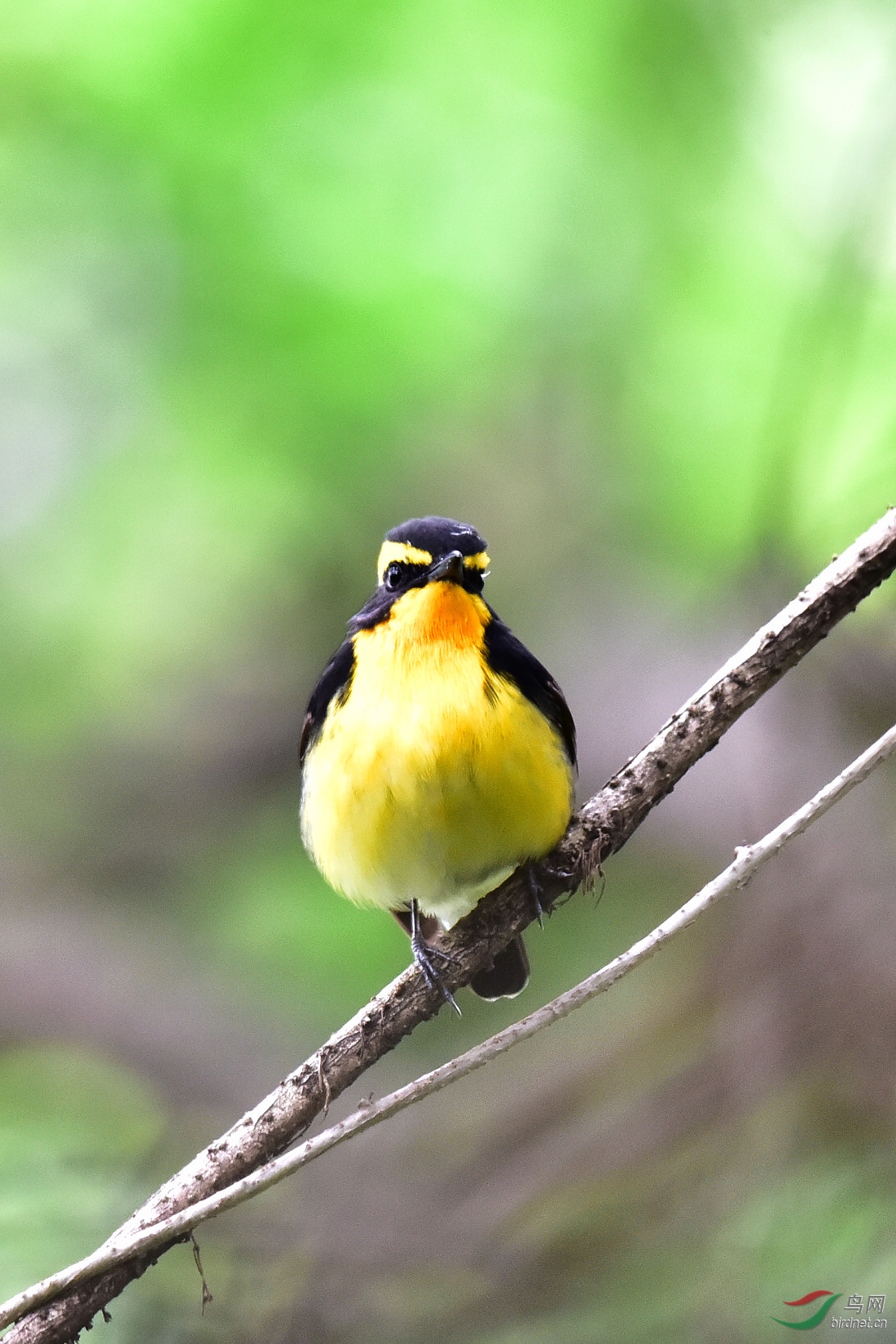 DSC_1101.JPG