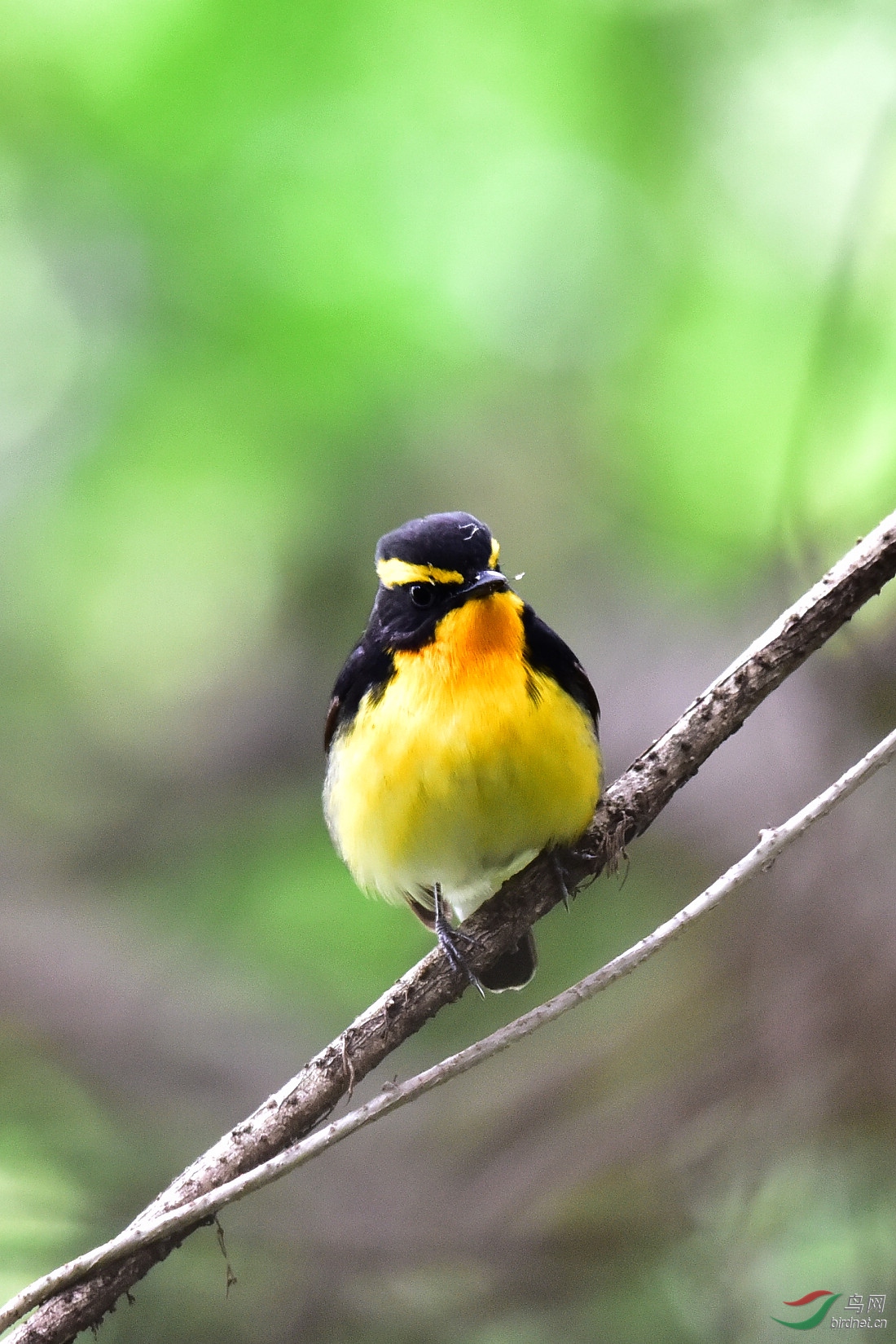 DSC_1102.JPG