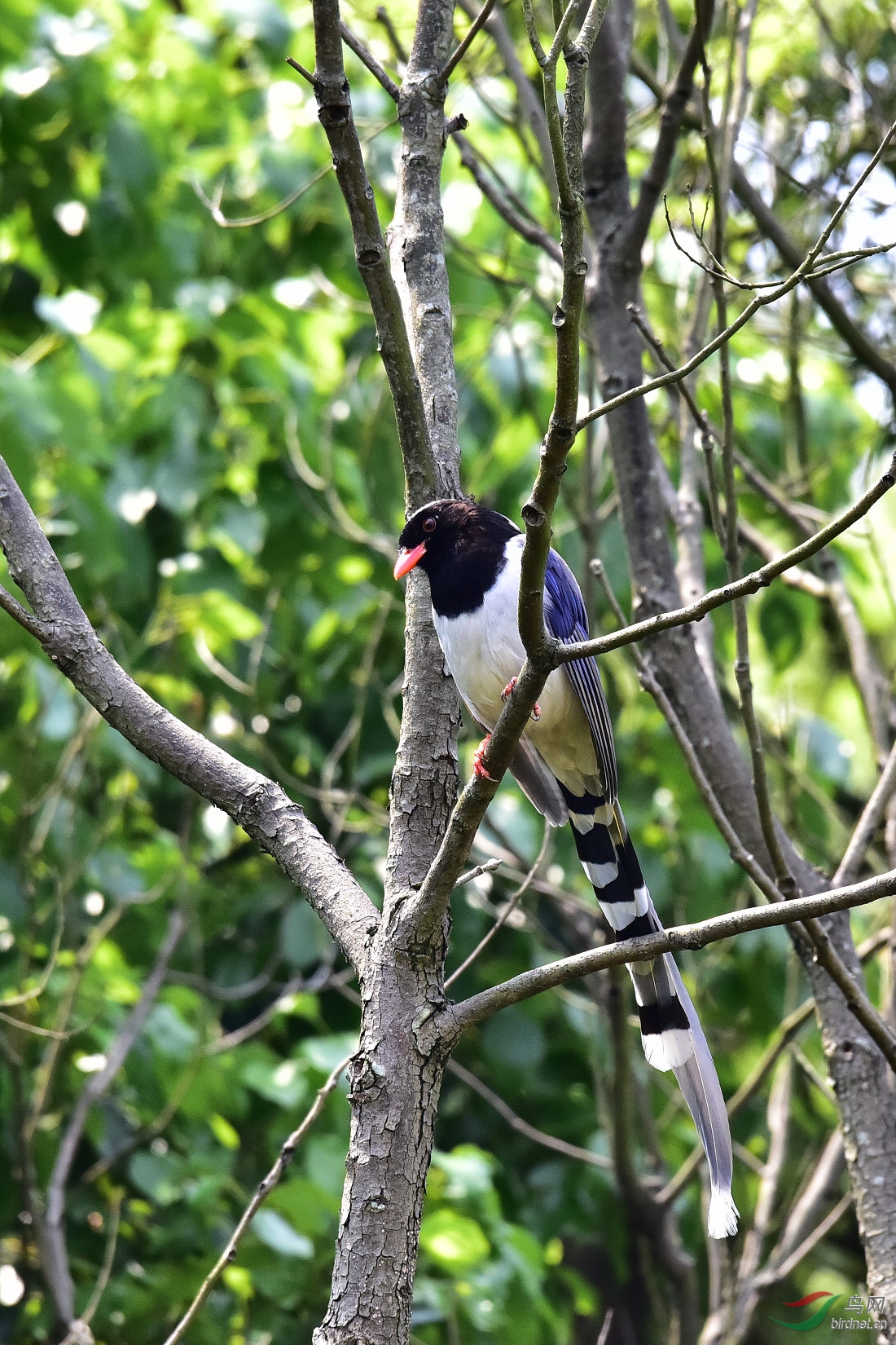 DSC_0331.JPG