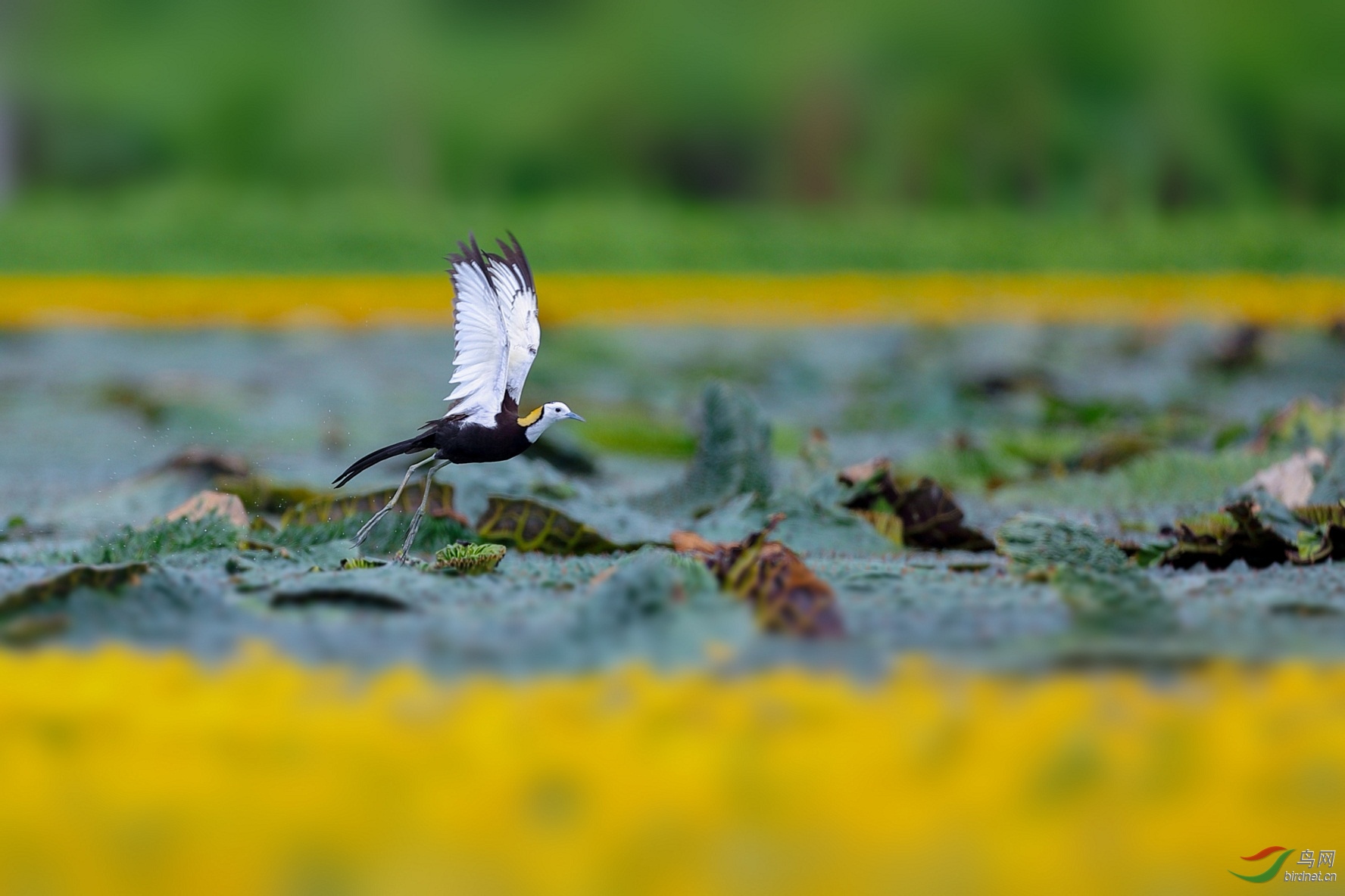 LRM_EXPORT_109885289005163_20190720_161807539_polarr.jpg