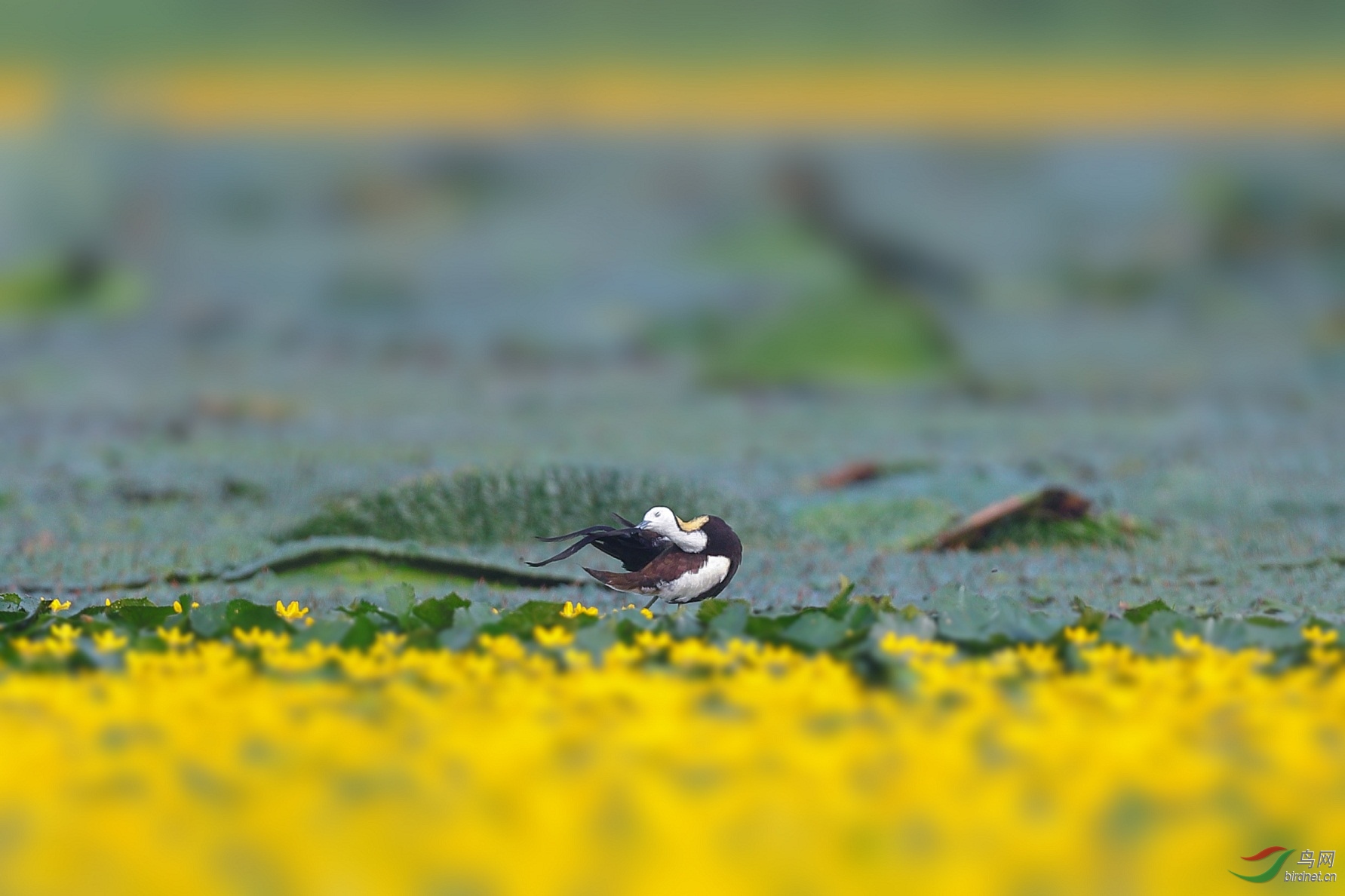 LRM_EXPORT_98931274937740_20190714_154427685_polarr.jpg