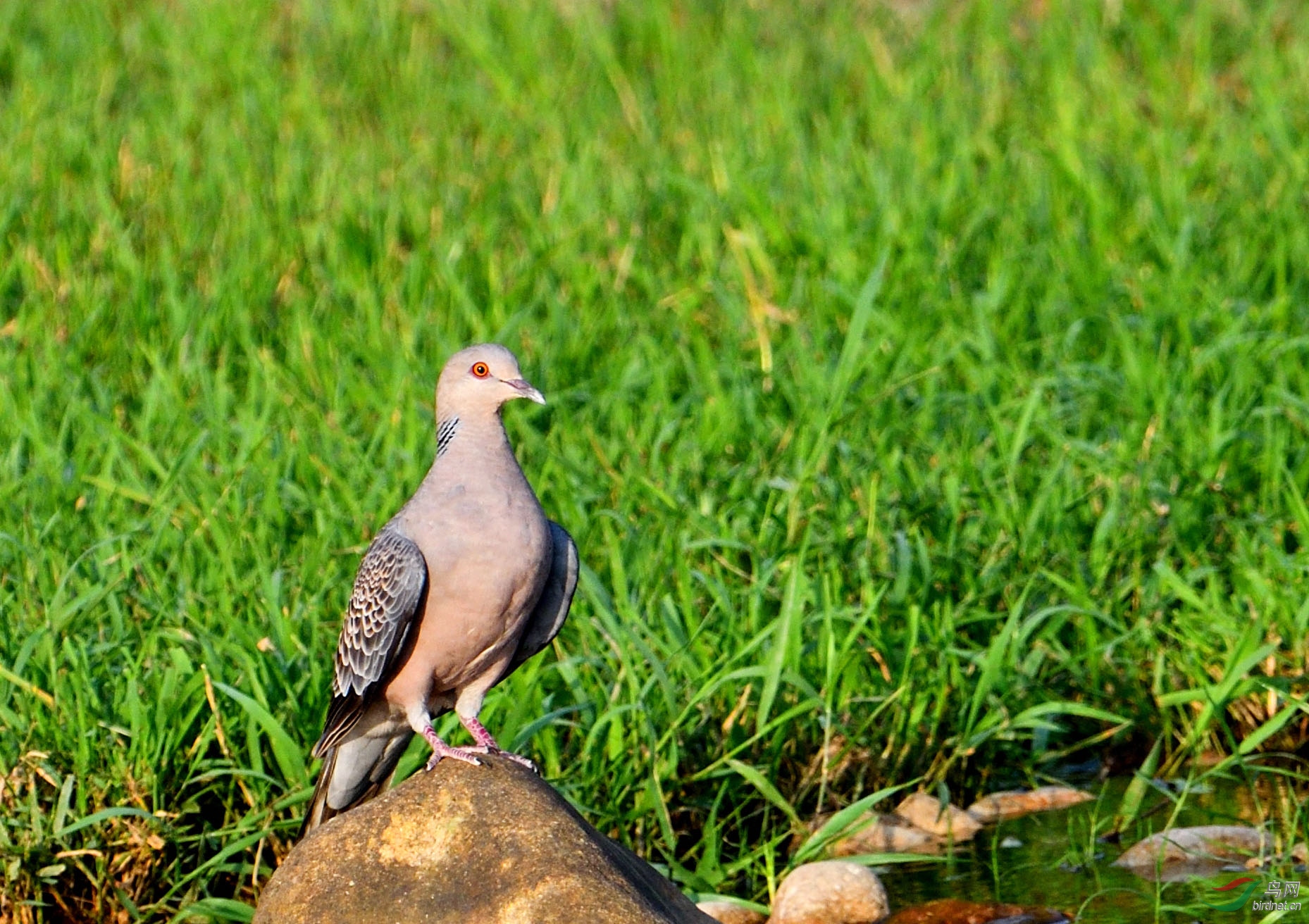 DSC_-7179_00001.jpg
