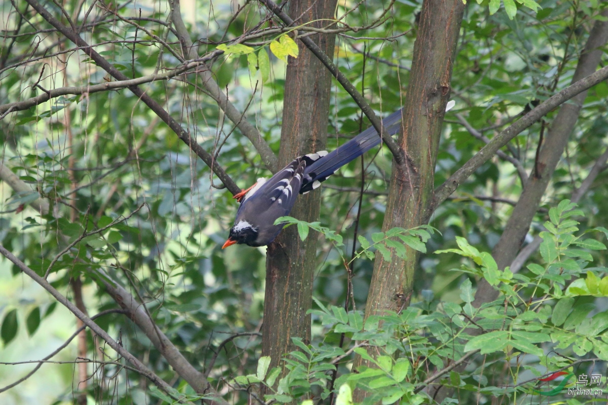 IMG_6570.JPG