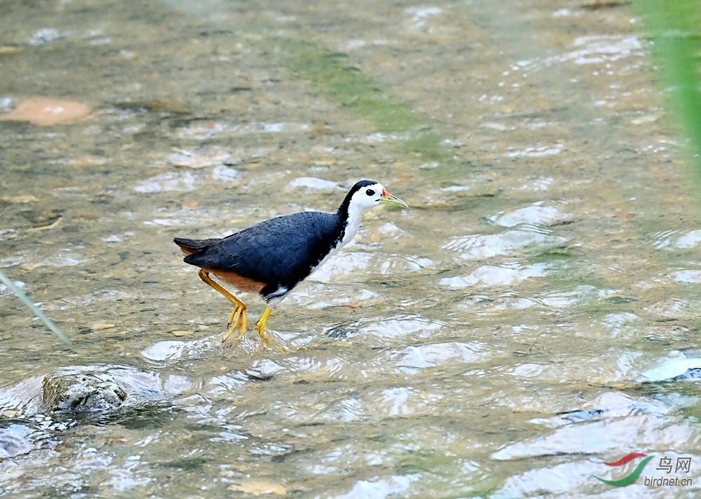 DSC_6427.jpg